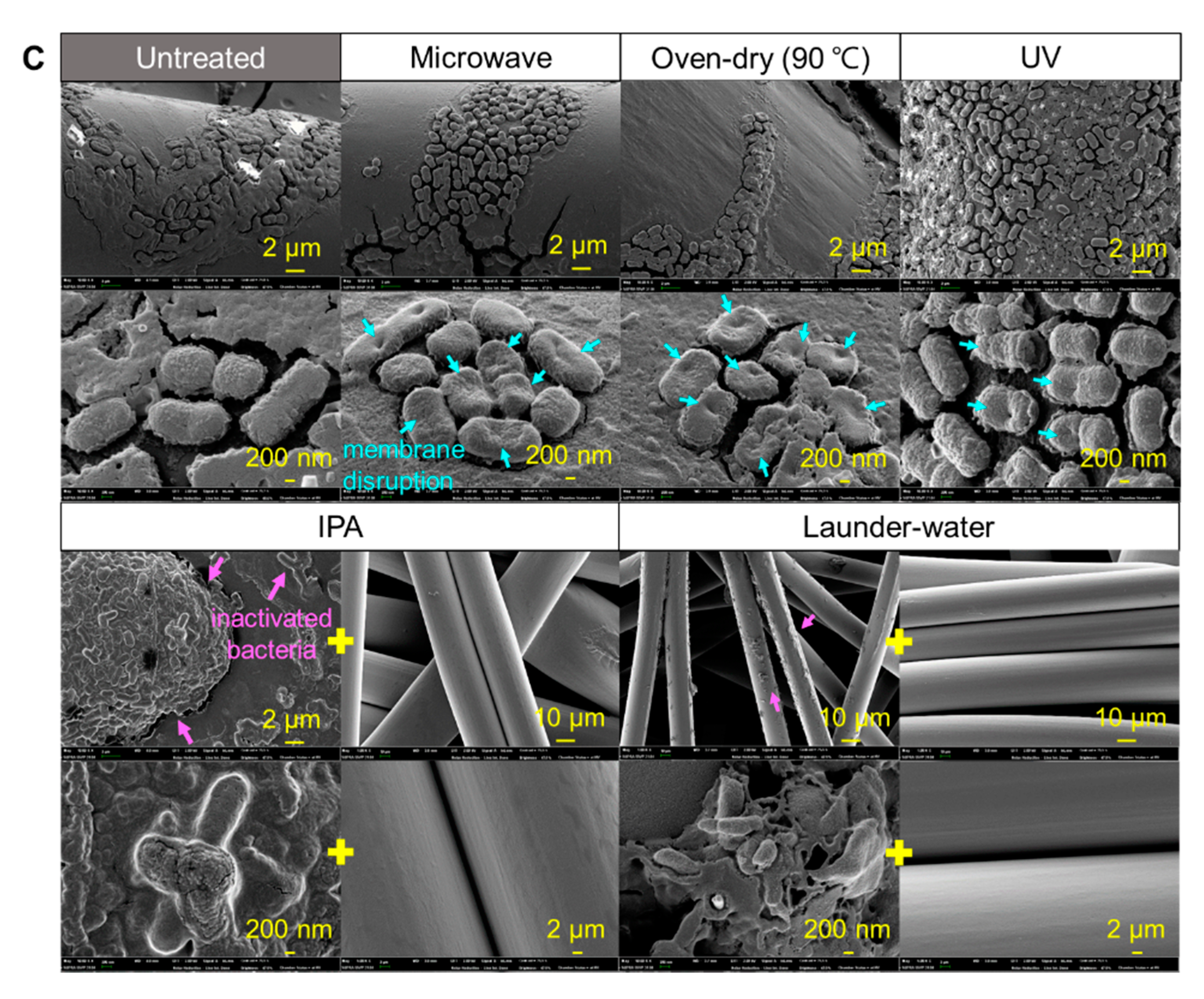 Polymers 13 00045 g006b Polymers 13 00045 g006b