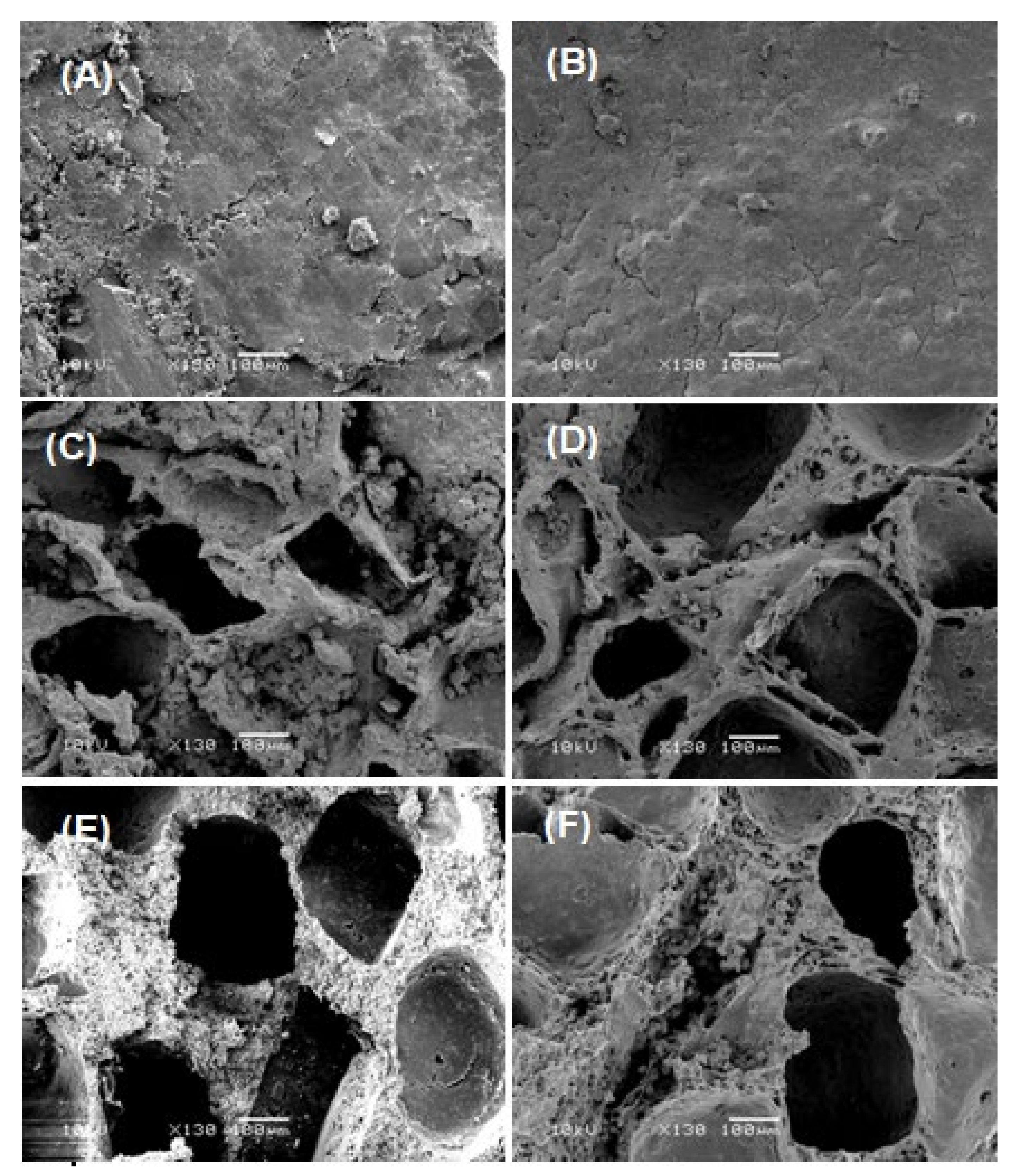 Polymers 13 00046 g004 Polymers 13 00046 g004