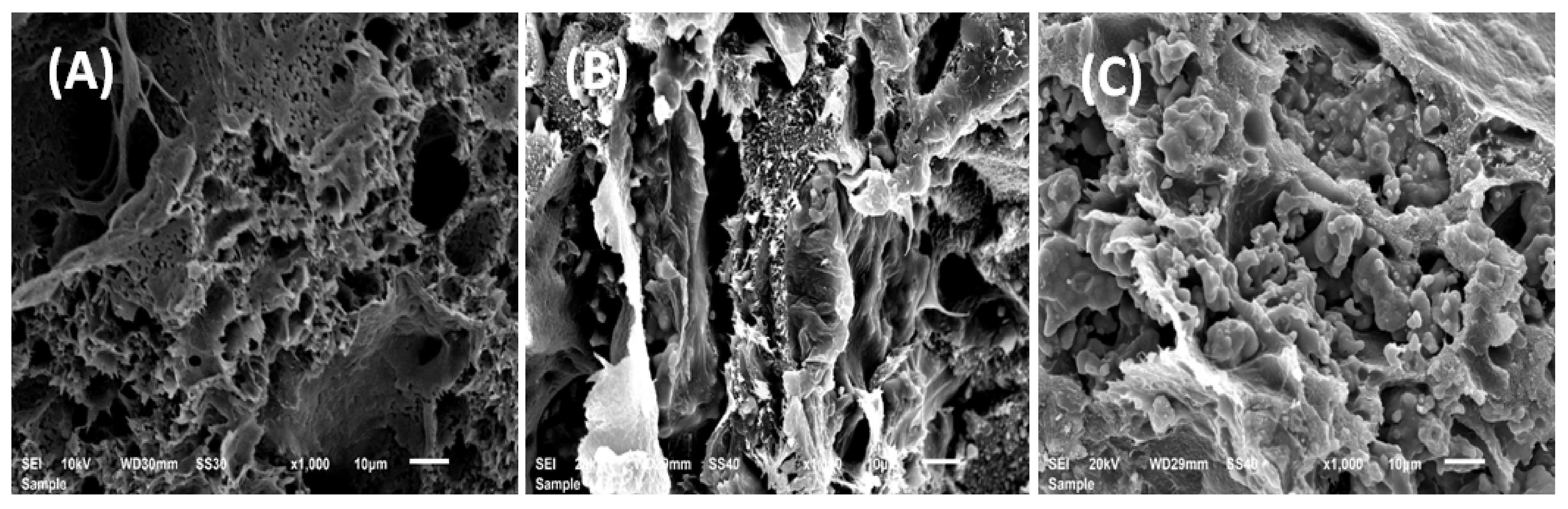 Polymers 13 00046 g012 Polymers 13 00046 g012