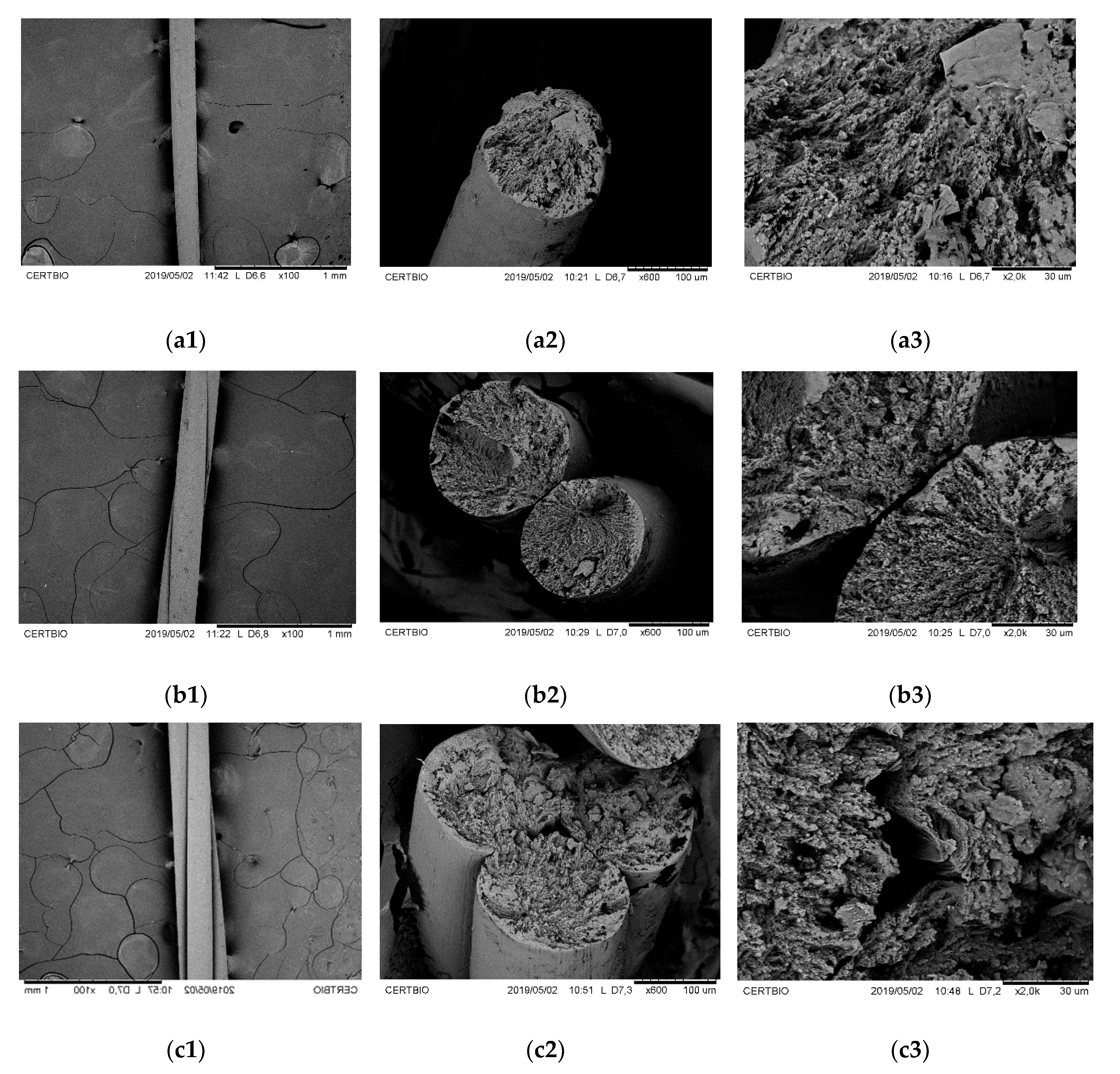 Polymers 13 00047 g003