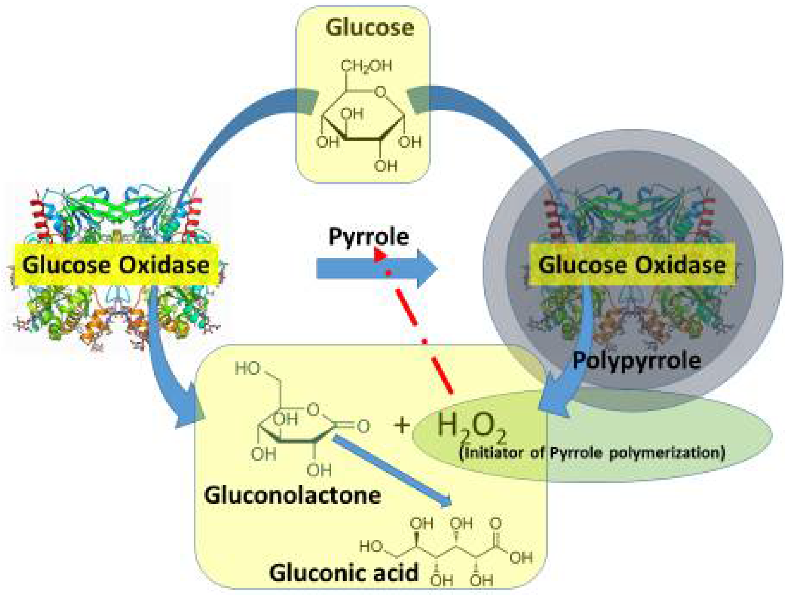Polymers 13 00049 g001