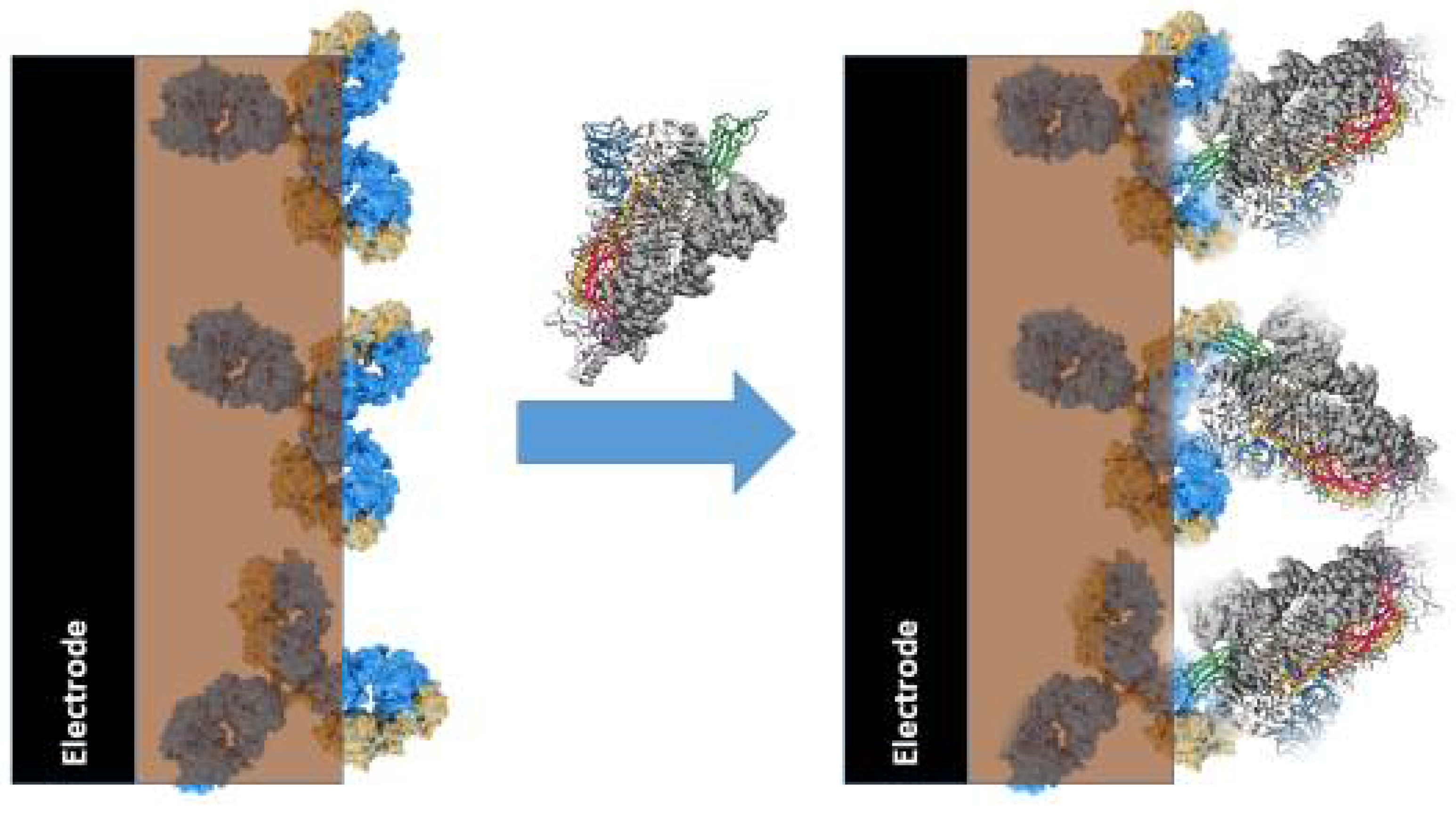 Polymers 13 00049 g003