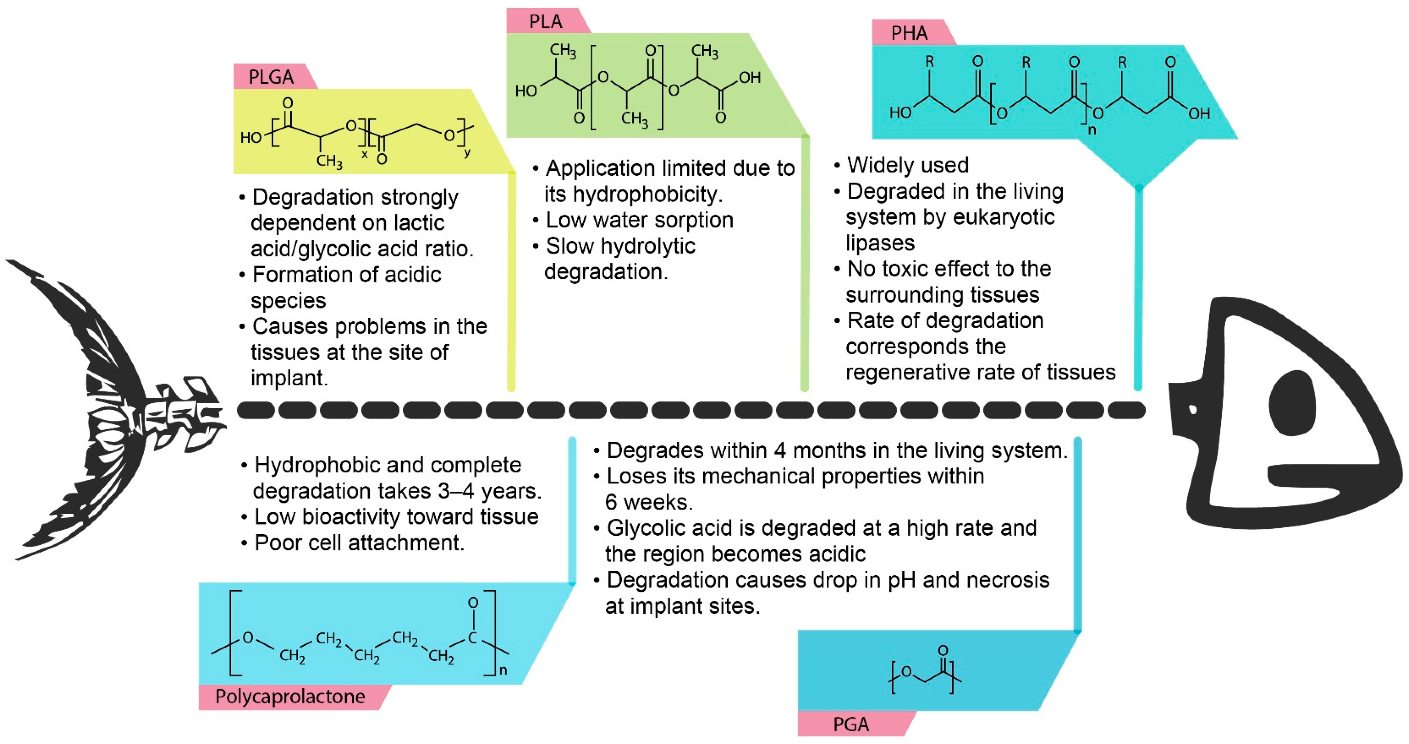 Polymers 13 00051 g001
