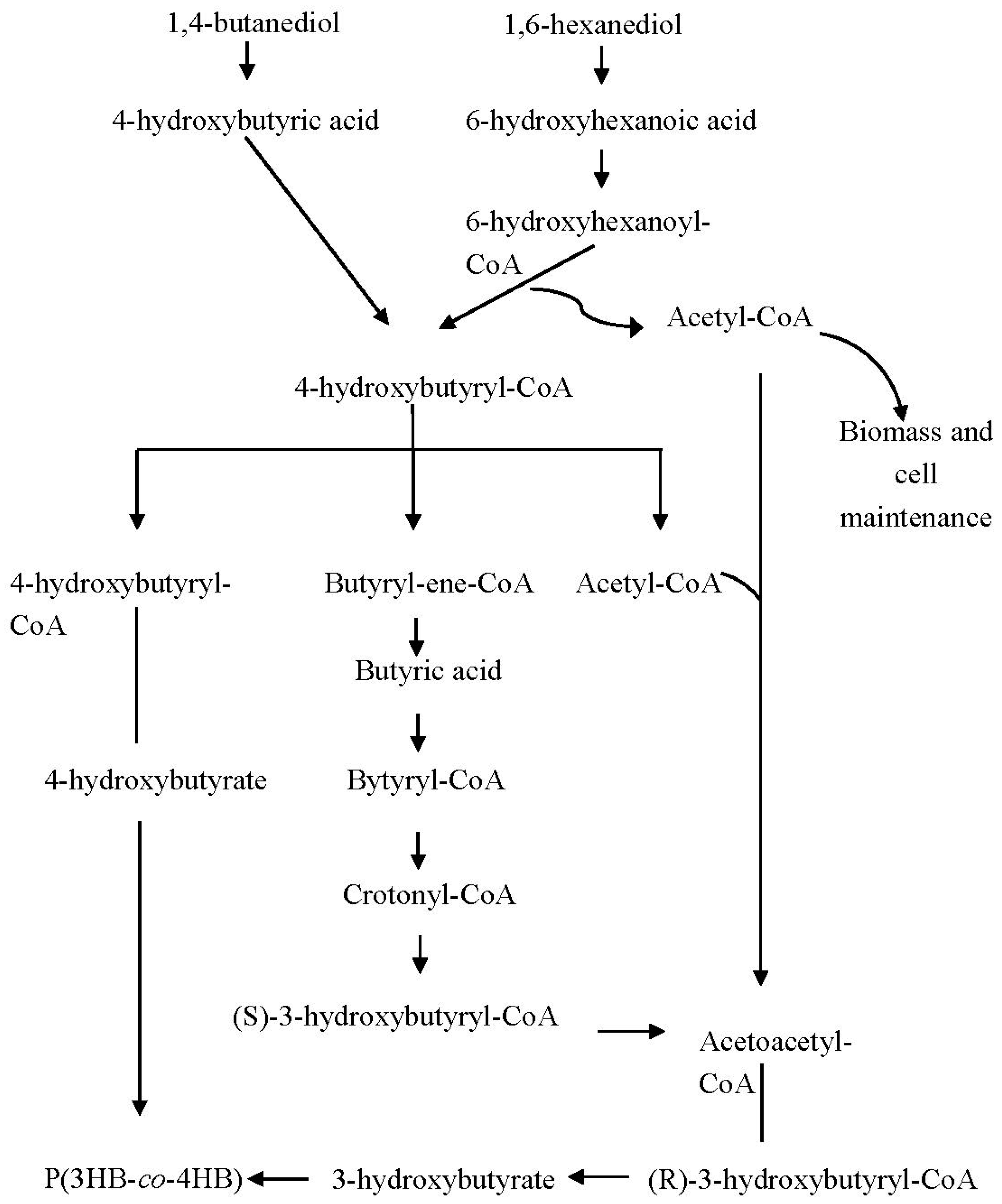 Polymers 13 00051 g006