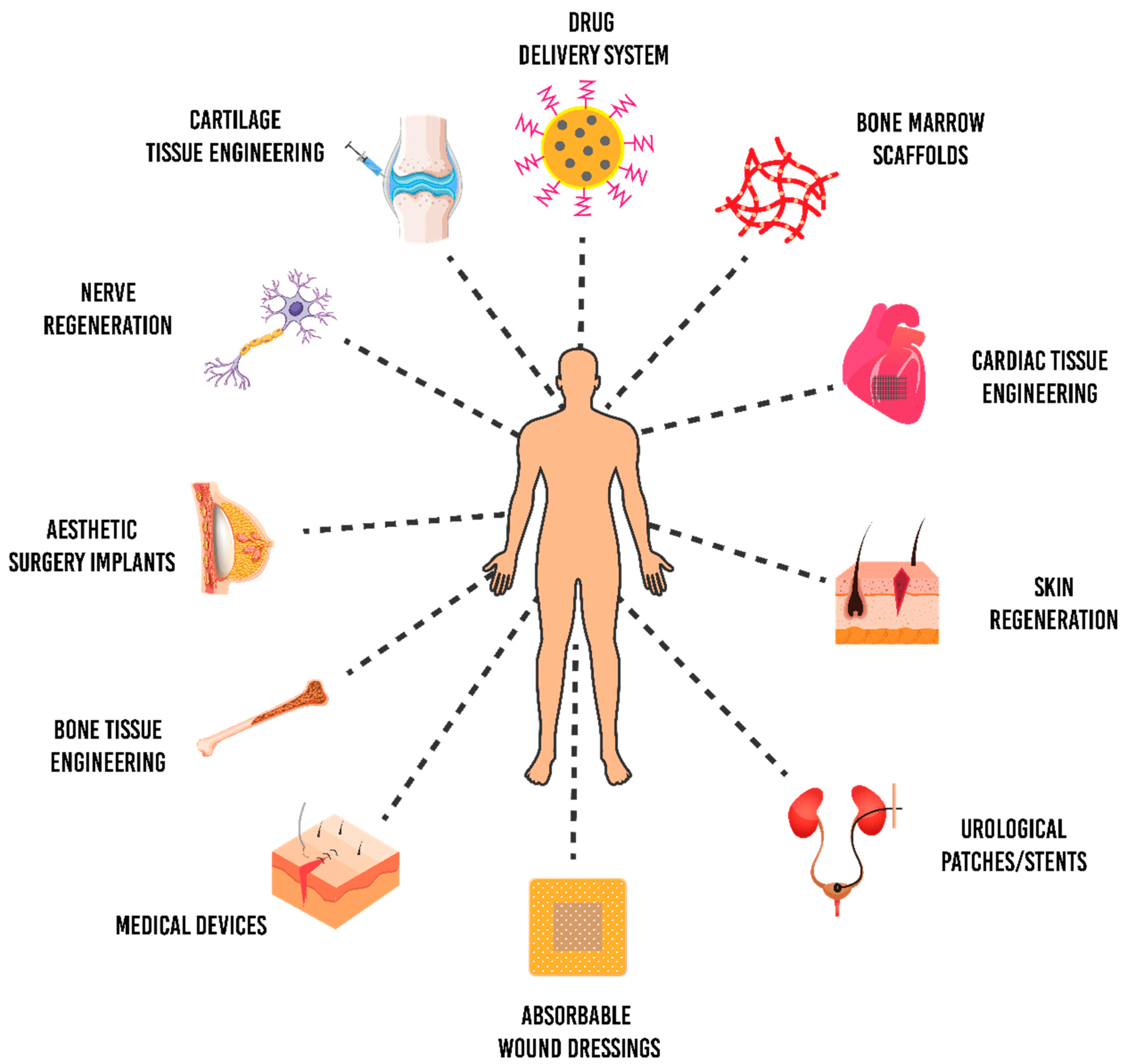 Polymers 13 00051 g008