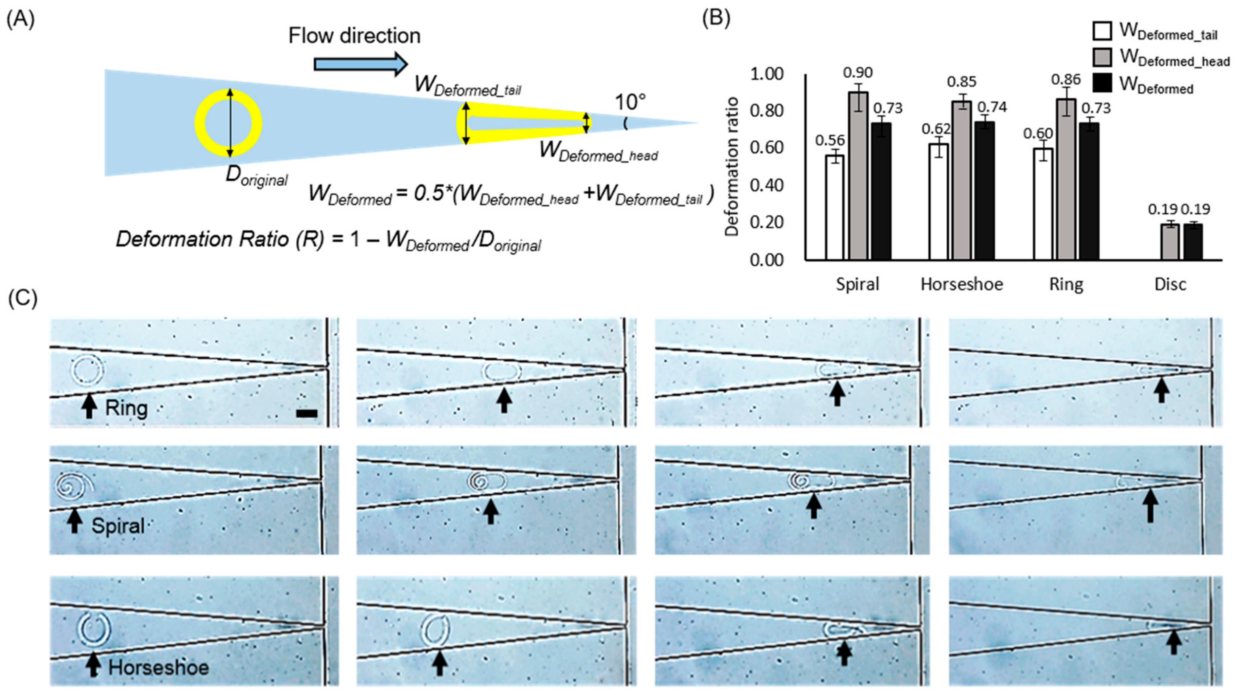 Polymers 13 00055 g003