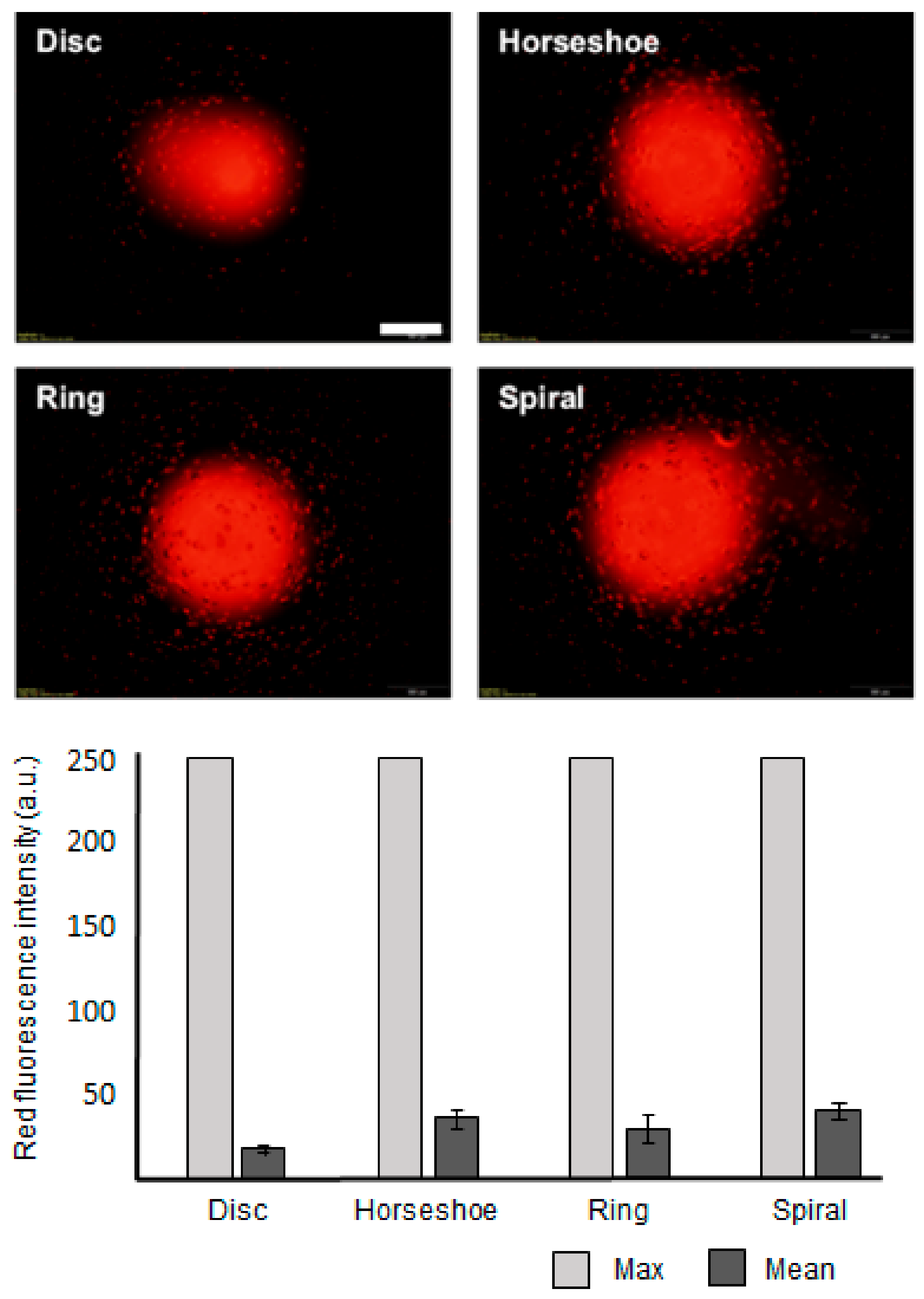 Polymers 13 00055 g005