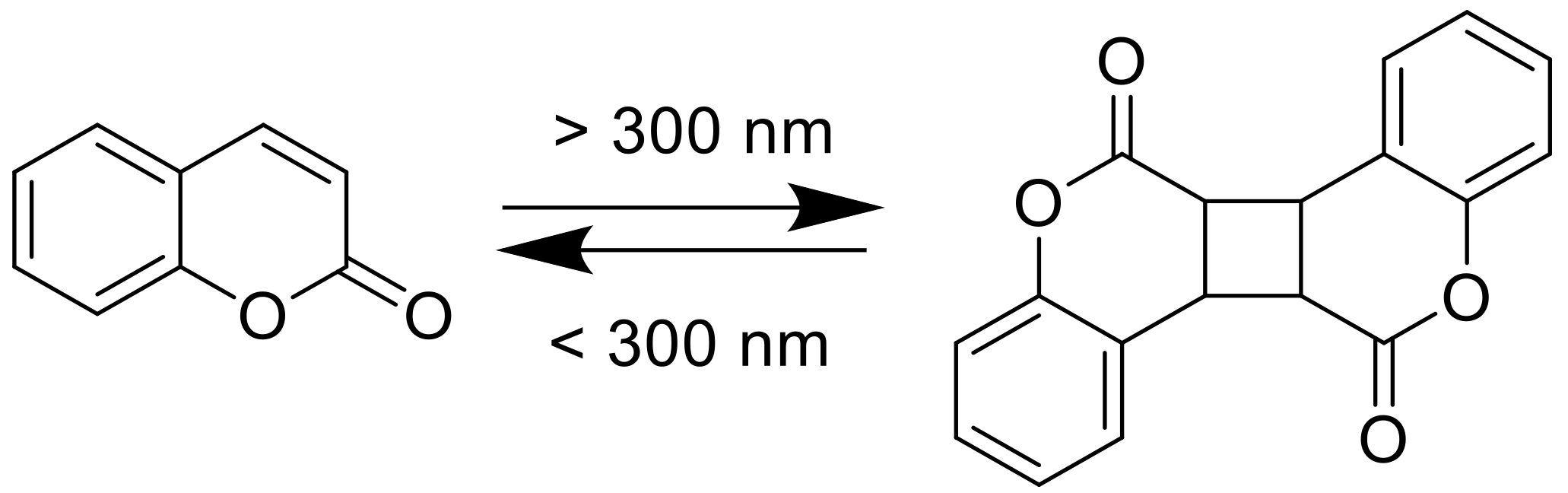 Polymers 13 00056 g002 Polymers 13 00056 g002