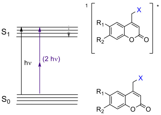 Polymers 13 00056 g003 550