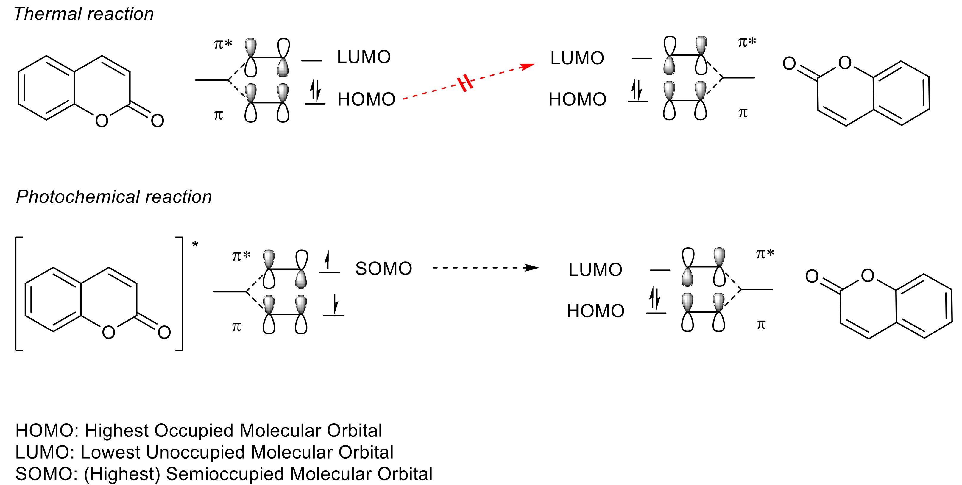 Polymers 13 00056 g007 Polymers 13 00056 g007