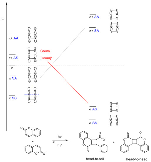 Polymers 13 00056 g008 550