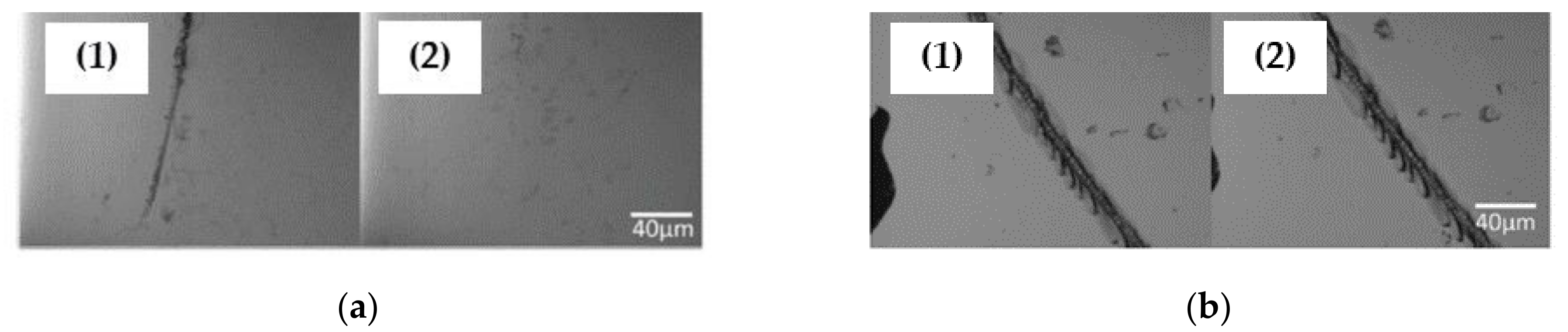Polymers 13 00056 g034 Polymers 13 00056 g034