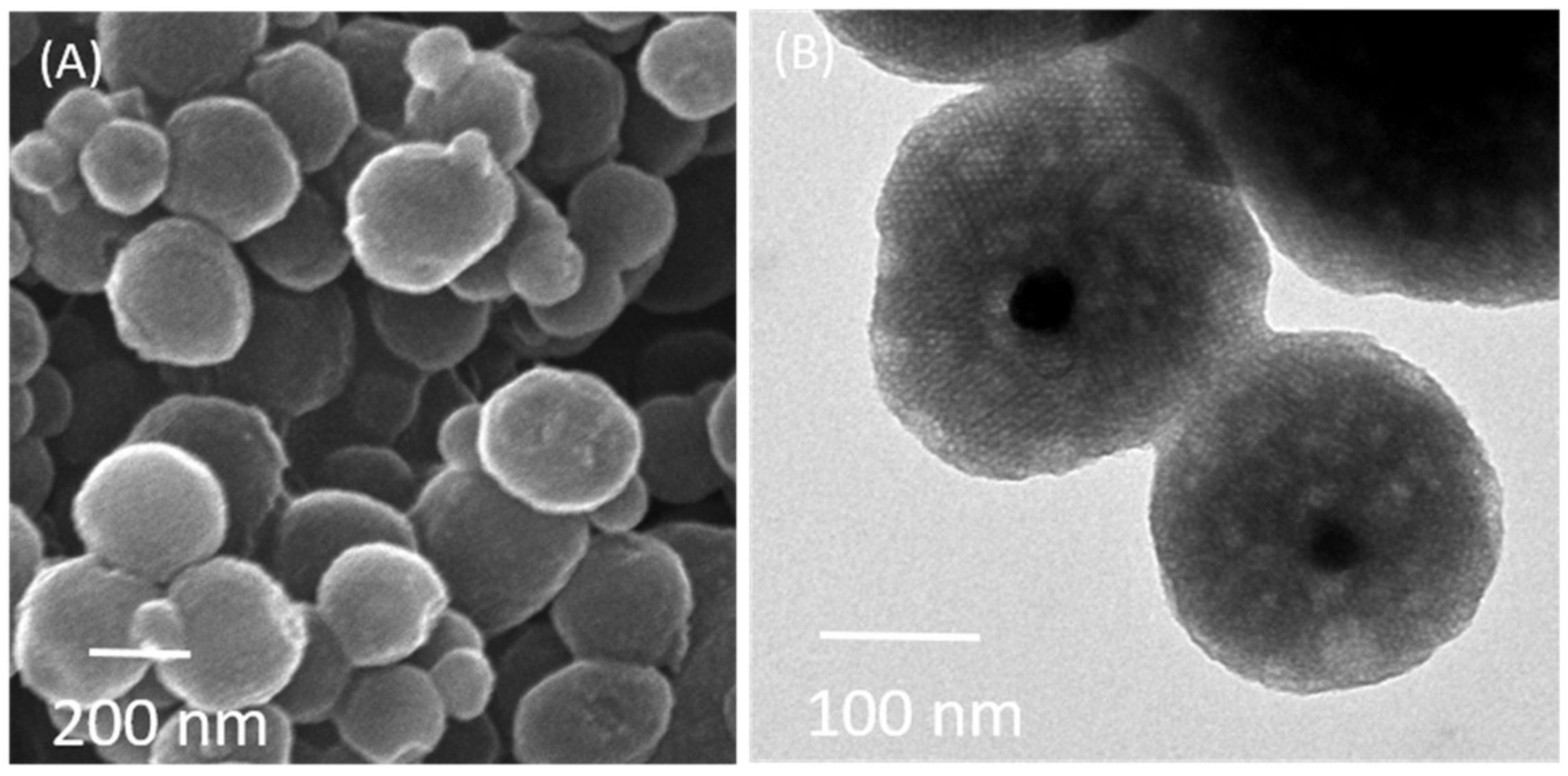 Polymers 13 00059 g001 Polymers 13 00059 g001