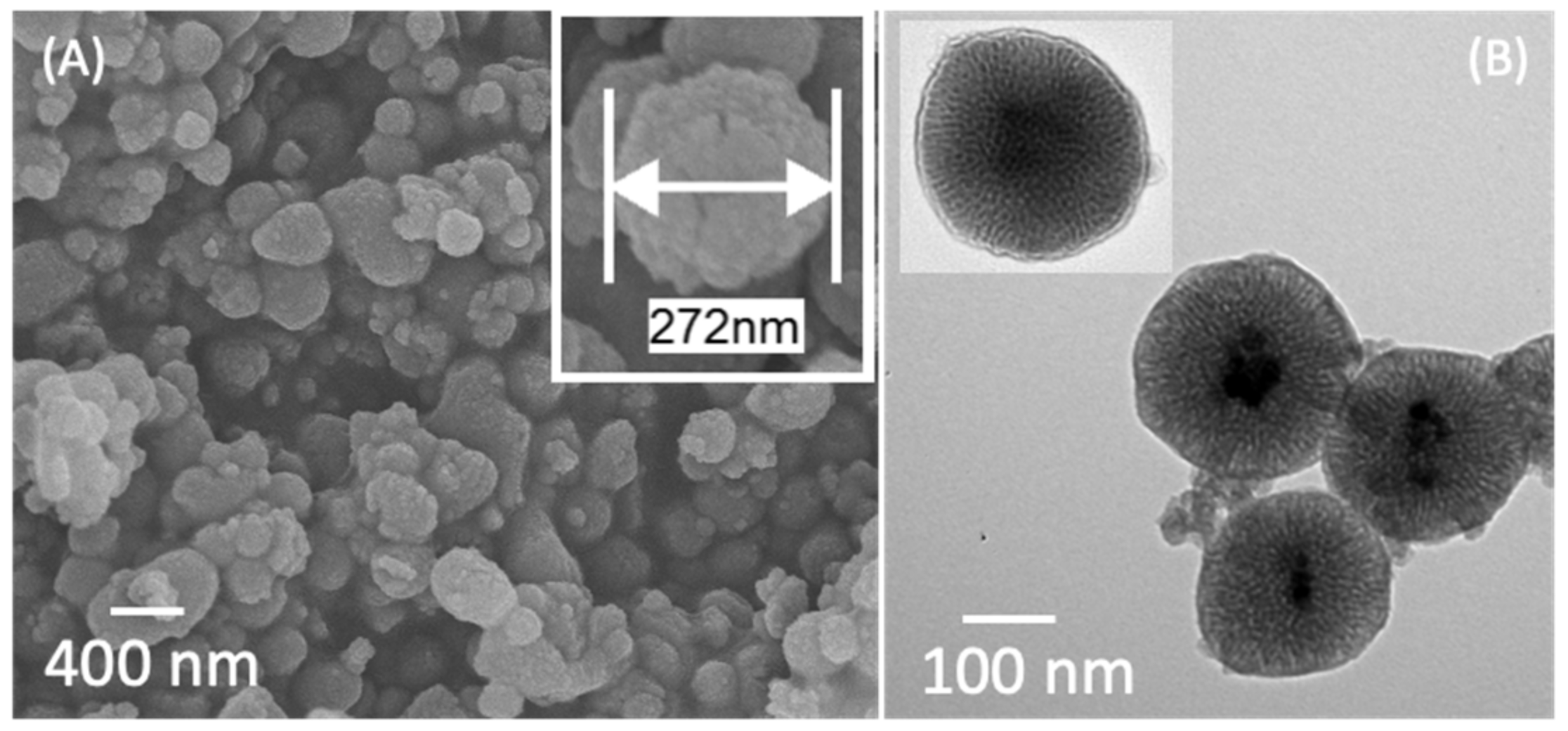 Polymers 13 00059 g002 Polymers 13 00059 g002