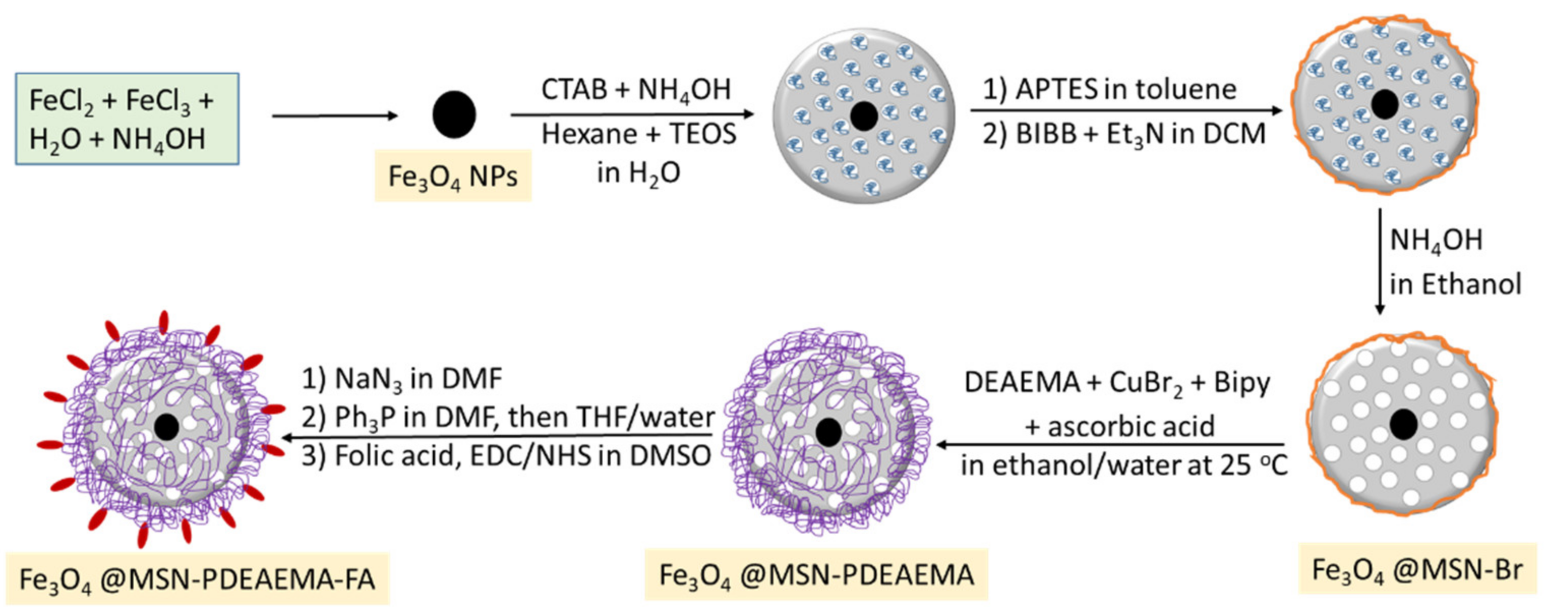 Polymers 13 00059 sch001 Polymers 13 00059 sch001