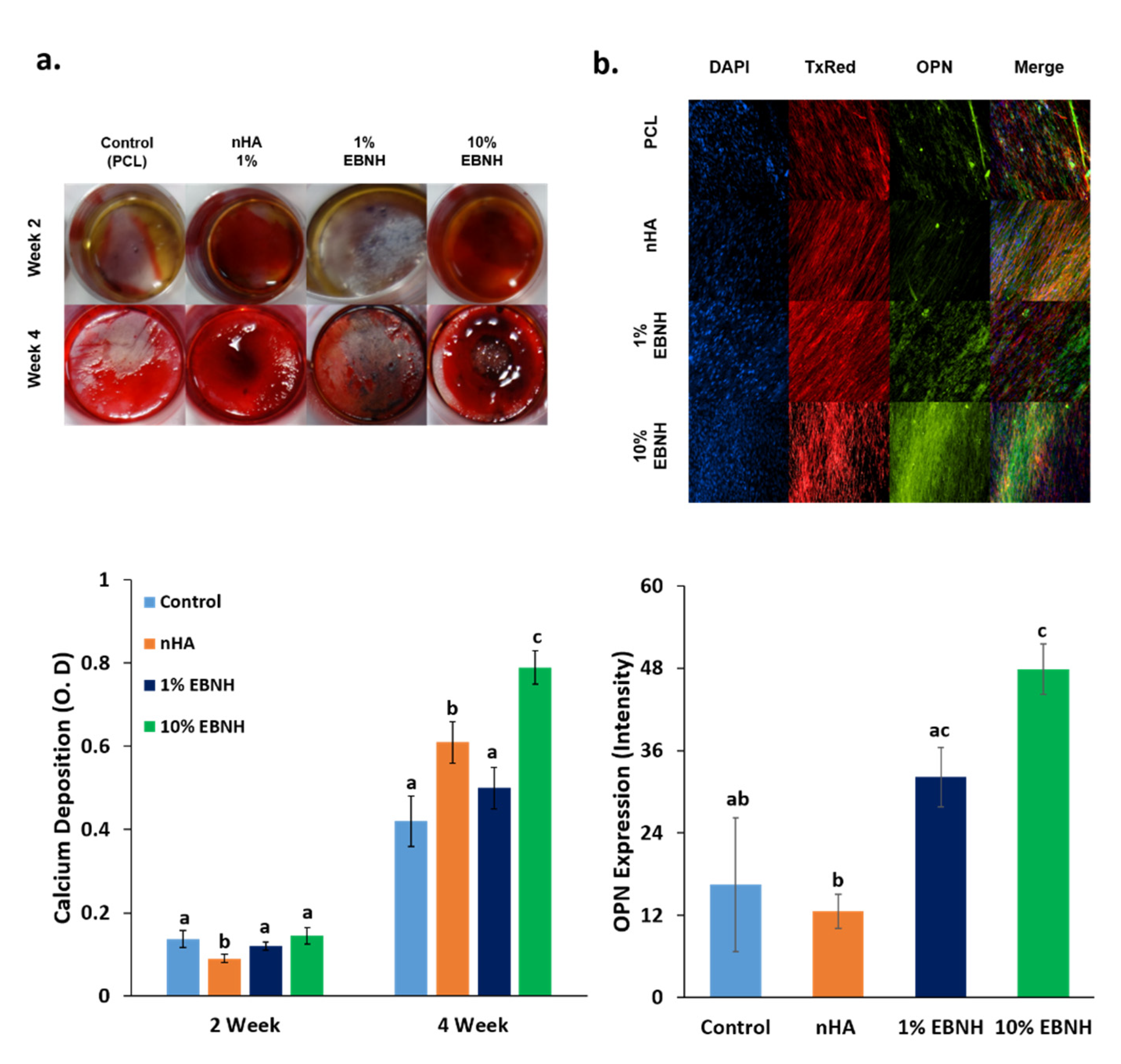 Polymers 13 00060 g003 Polymers 13 00060 g003