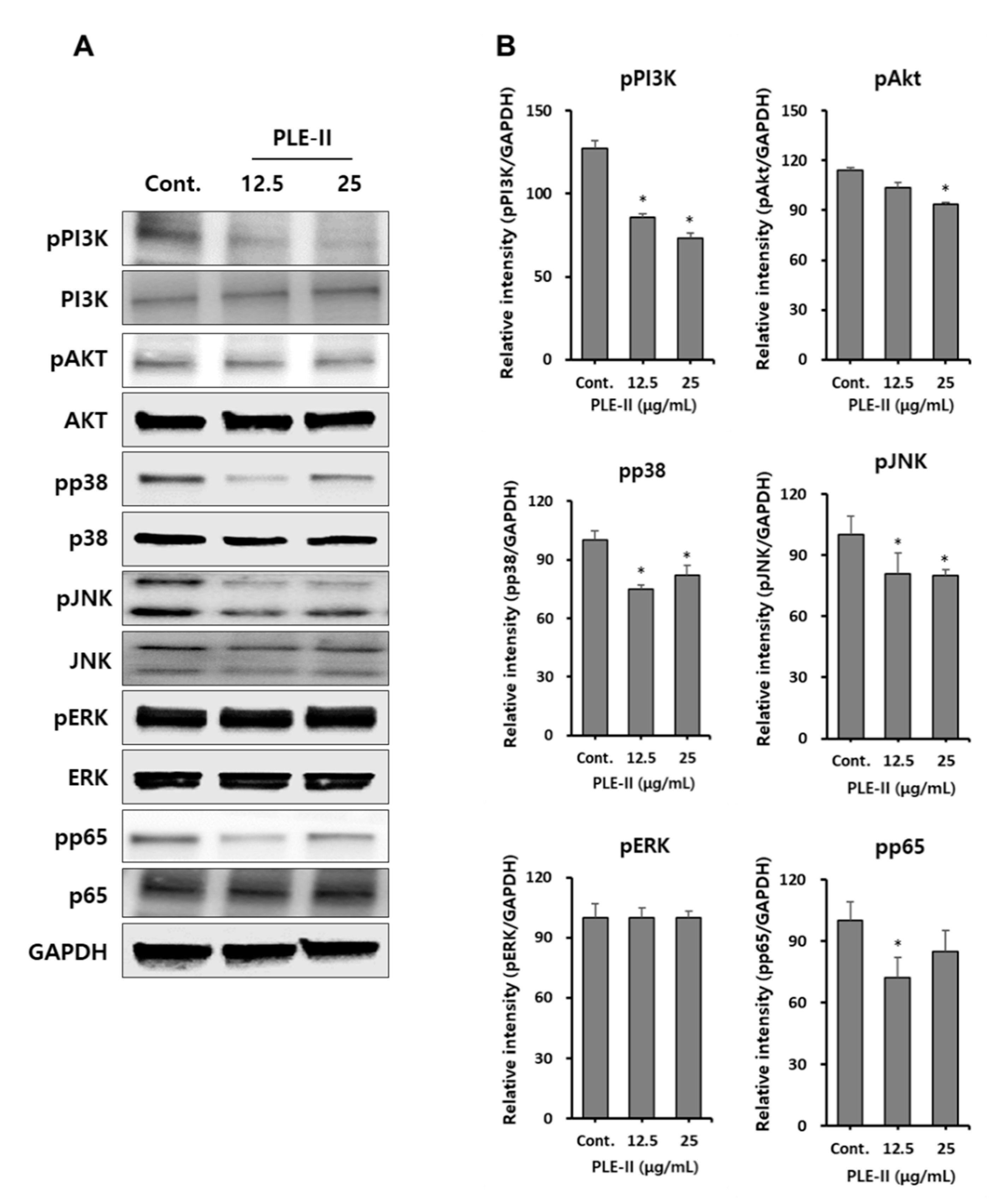 Polymers 13 00064 g005 Polymers 13 00064 g005