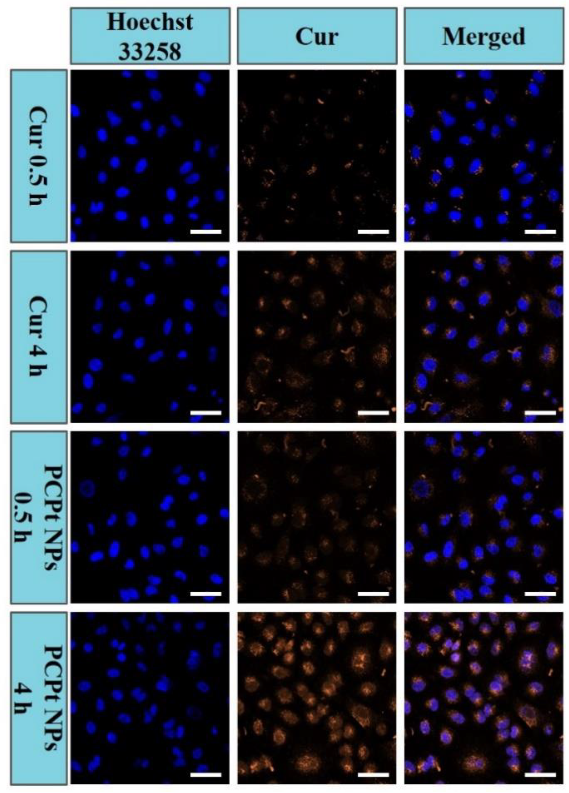 Polymers 13 00067 g006 Polymers 13 00067 g006