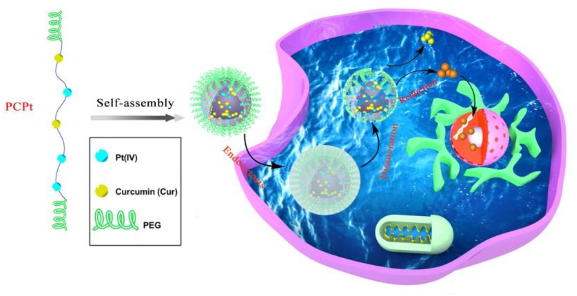 Polymers 13 00067 sch001 Polymers 13 00067 sch001