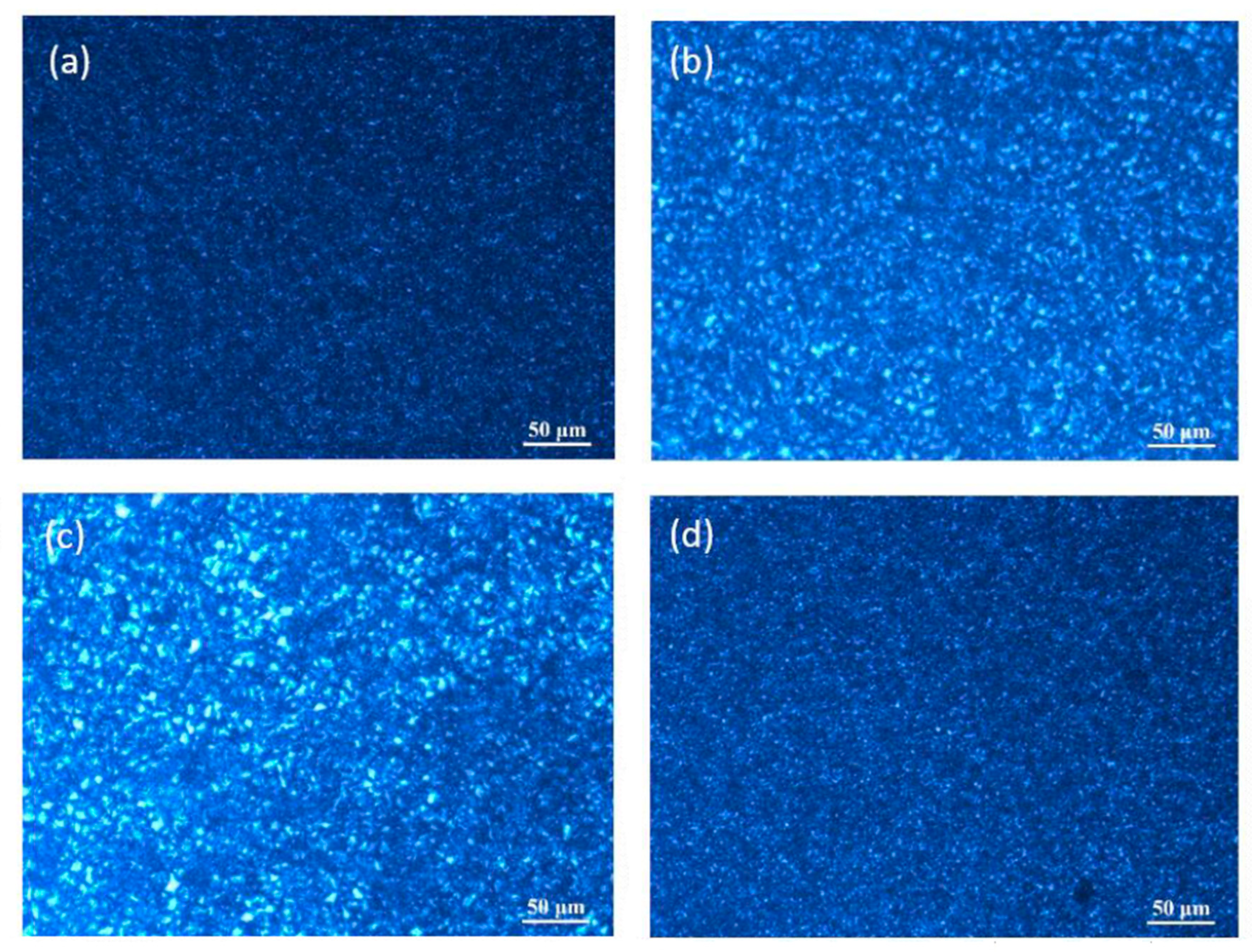 Polymers 13 00072 g016