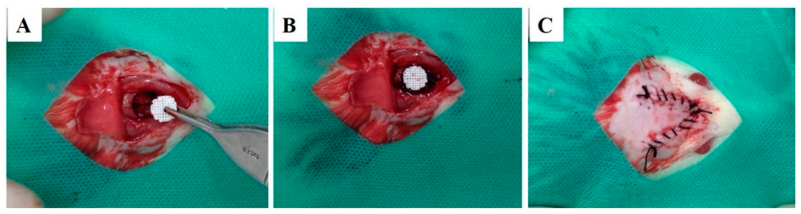 Polymers 13 00074 g002 Polymers 13 00074 g002