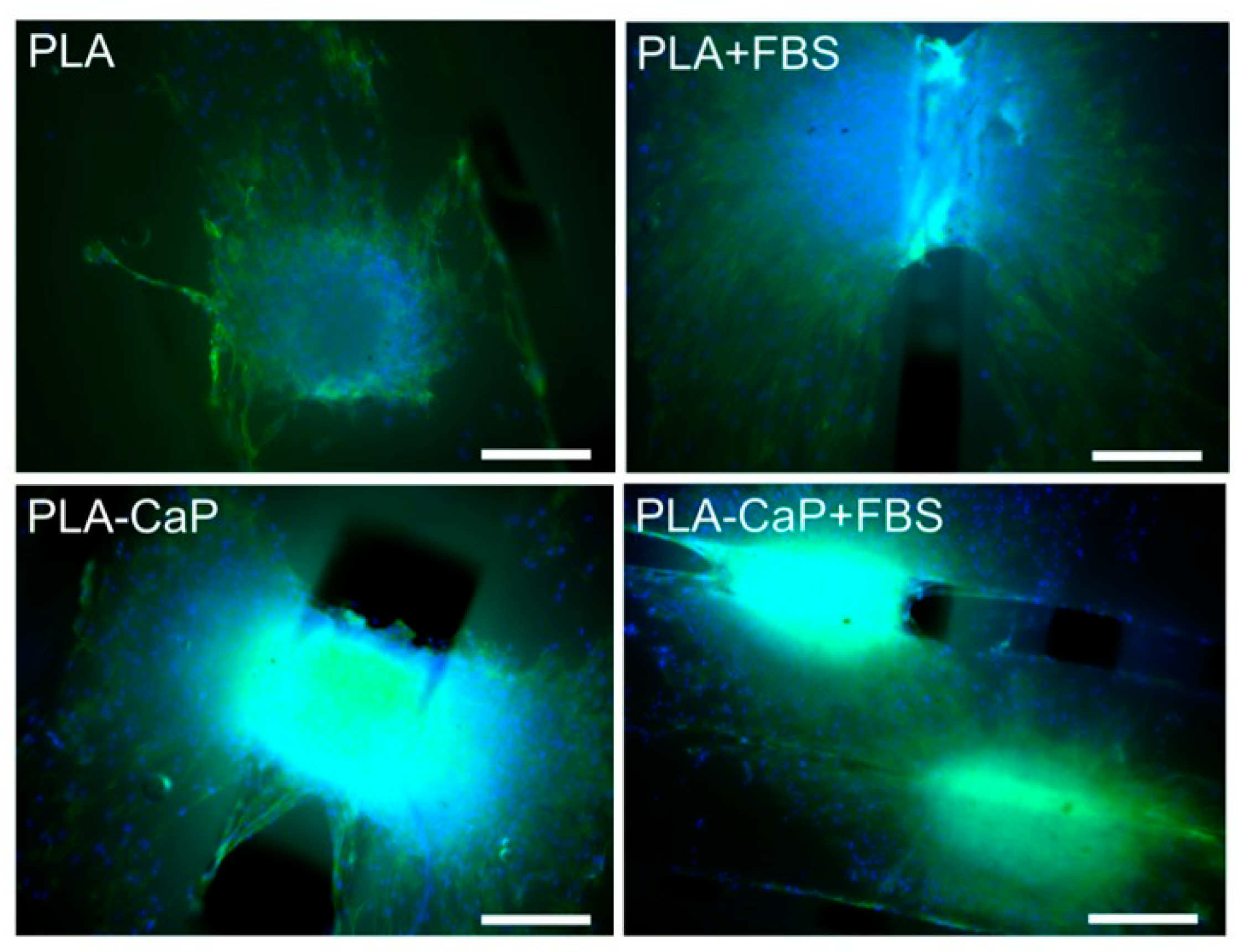 Polymers 13 00074 g007 Polymers 13 00074 g007