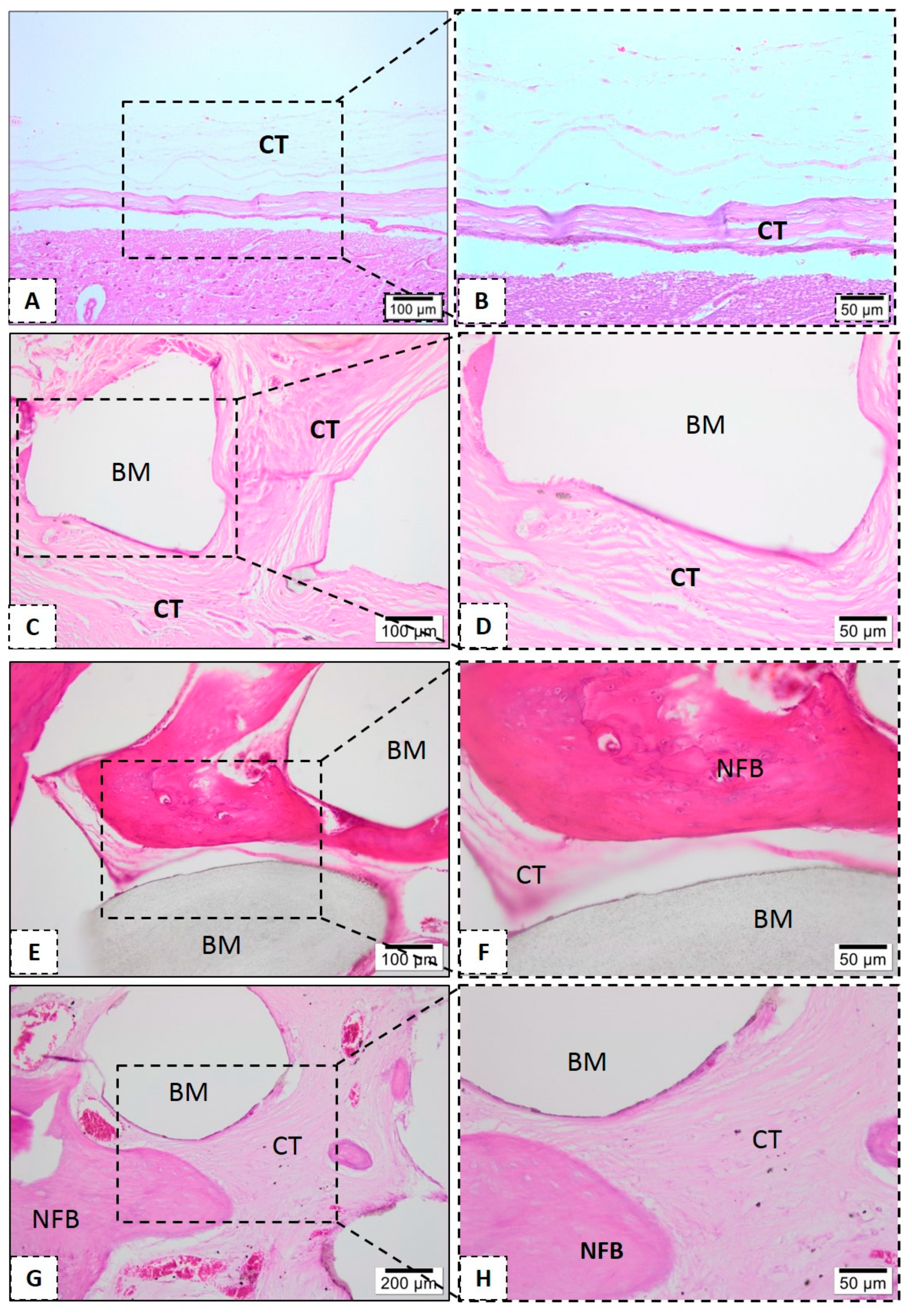 Polymers 13 00074 g011 Polymers 13 00074 g011