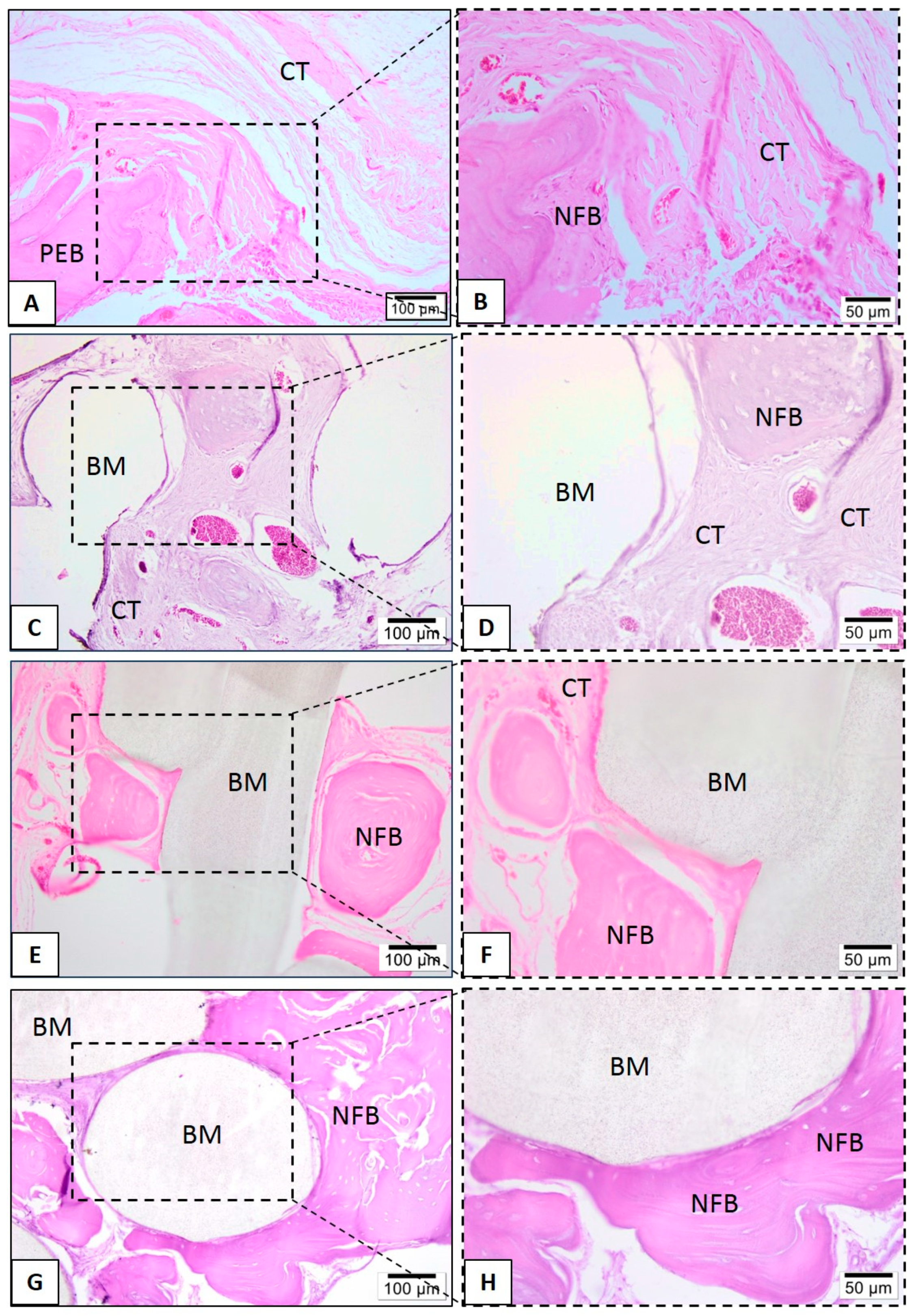 Polymers 13 00074 g012 Polymers 13 00074 g012