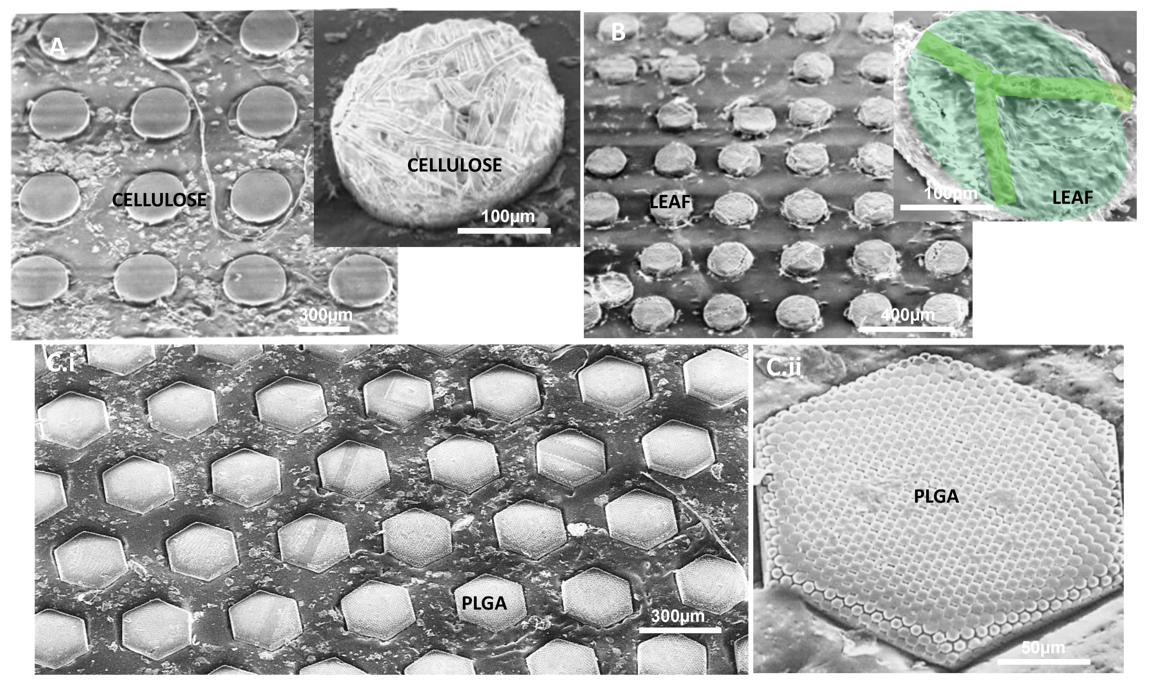 Polymers 13 00083 g003