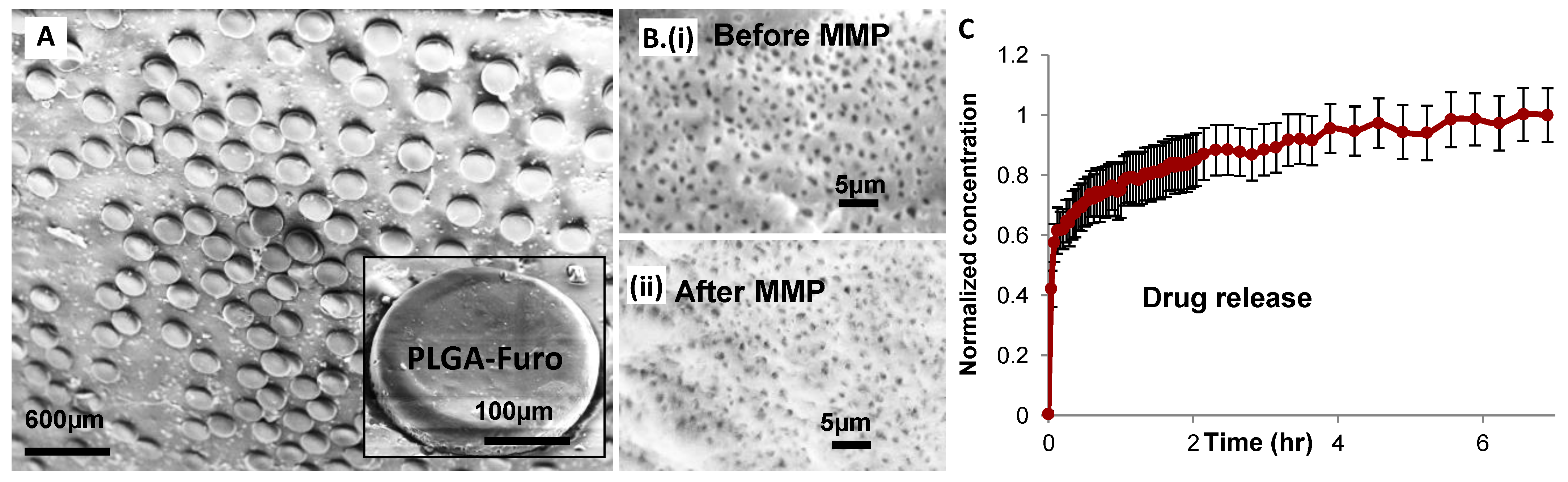 Polymers 13 00083 g004