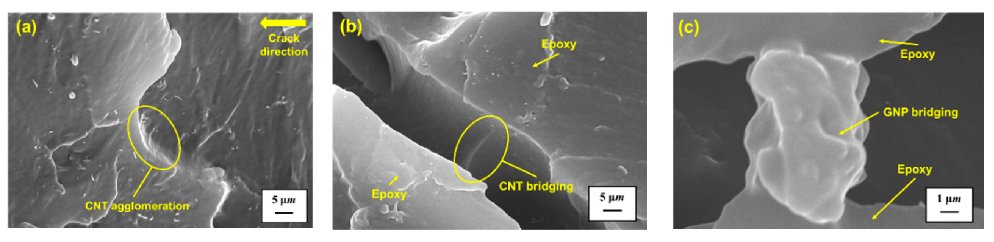 Polymers 13 00084 g011 Polymers 13 00084 g011