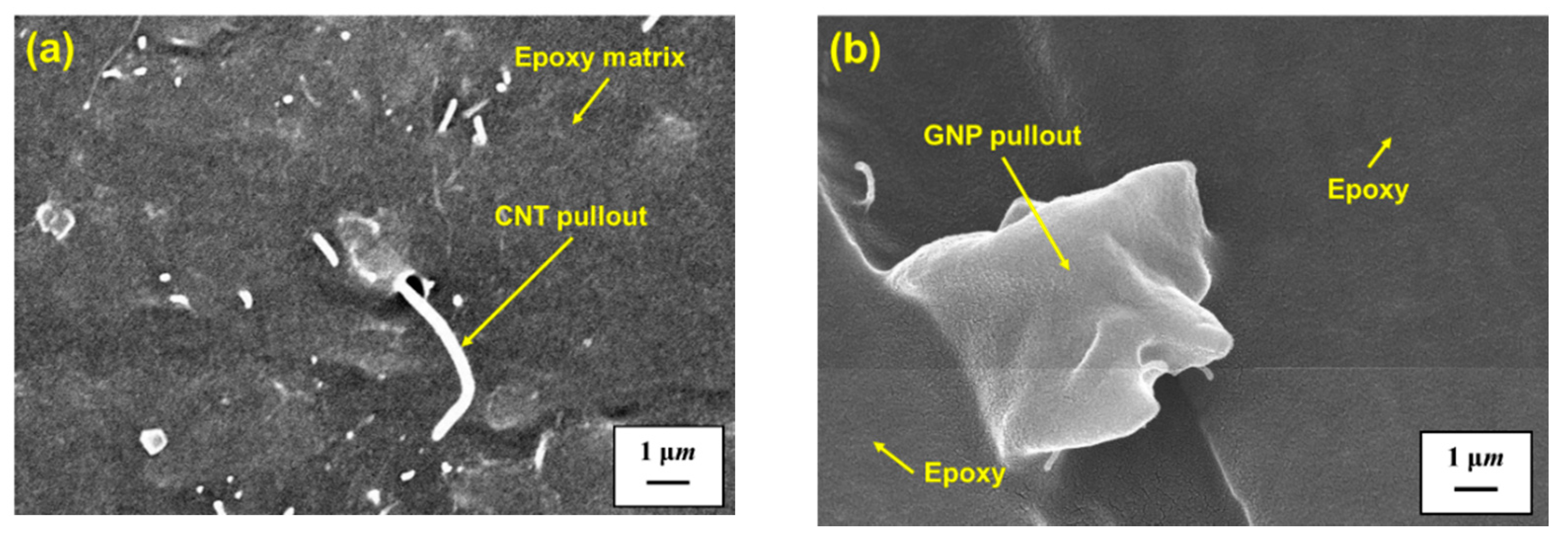 Polymers 13 00084 g012 Polymers 13 00084 g012