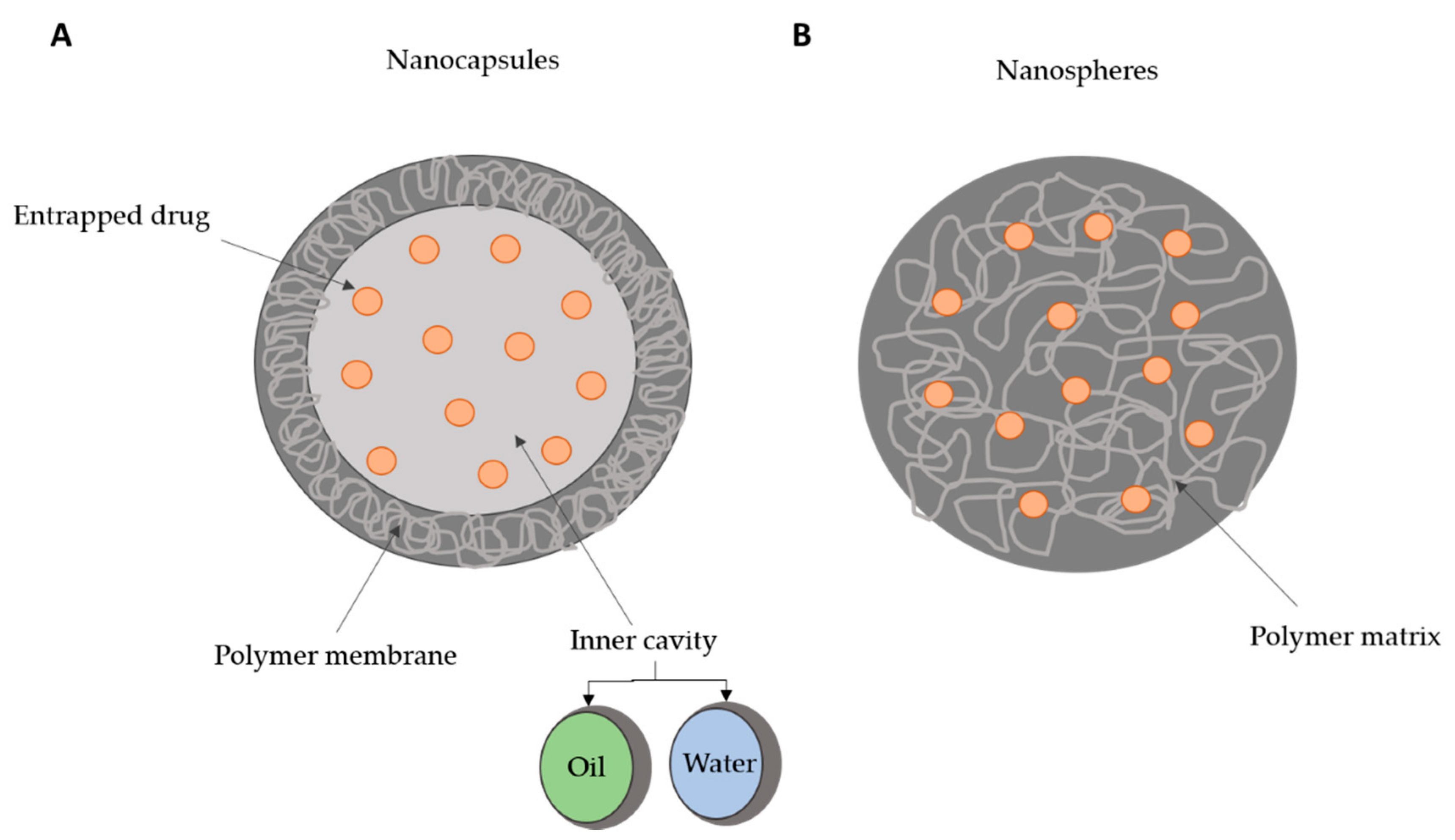 Polymers 13 00088 g001