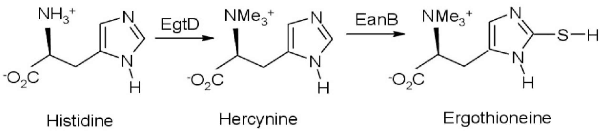 Polymers 13 00095 g001