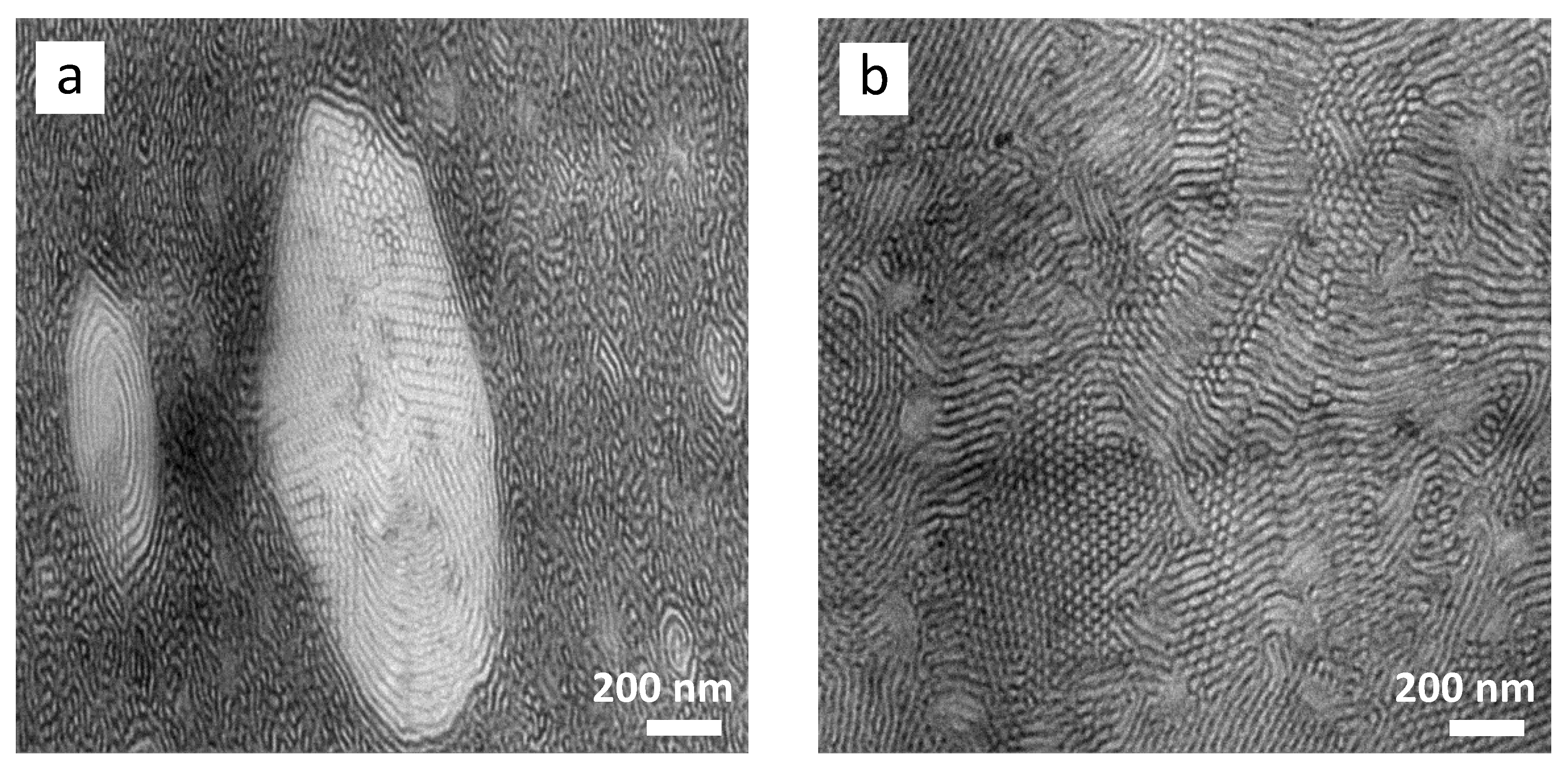 Polymers 13 00096 g006 Polymers 13 00096 g006