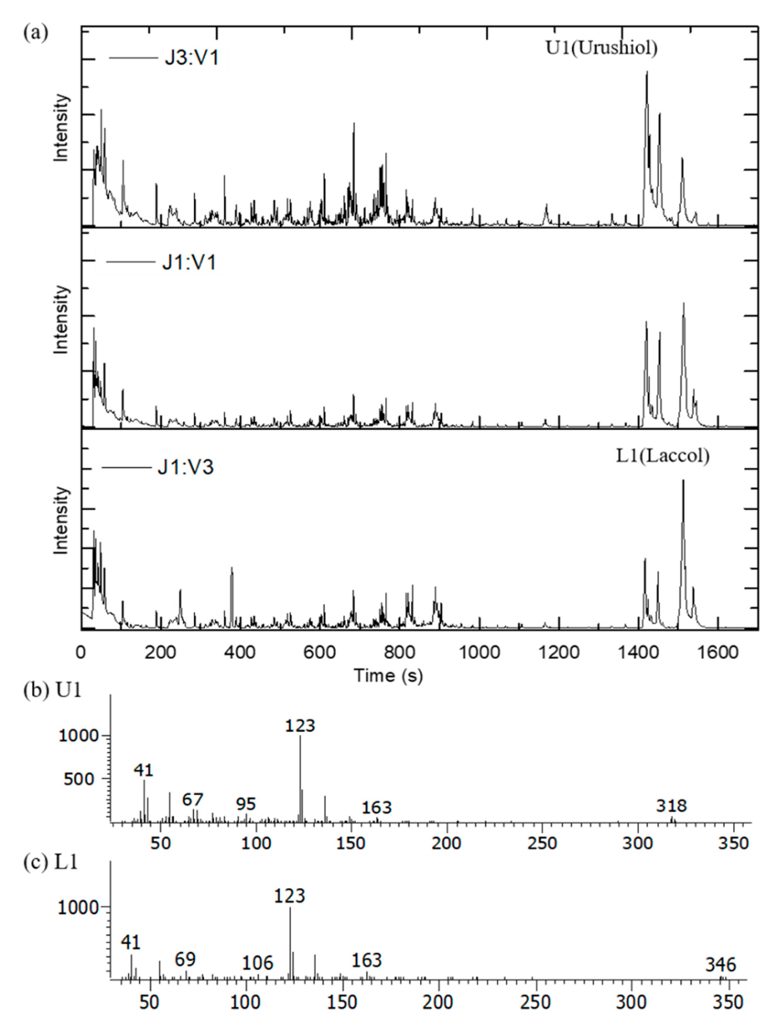 Polymers 13 00097 g003