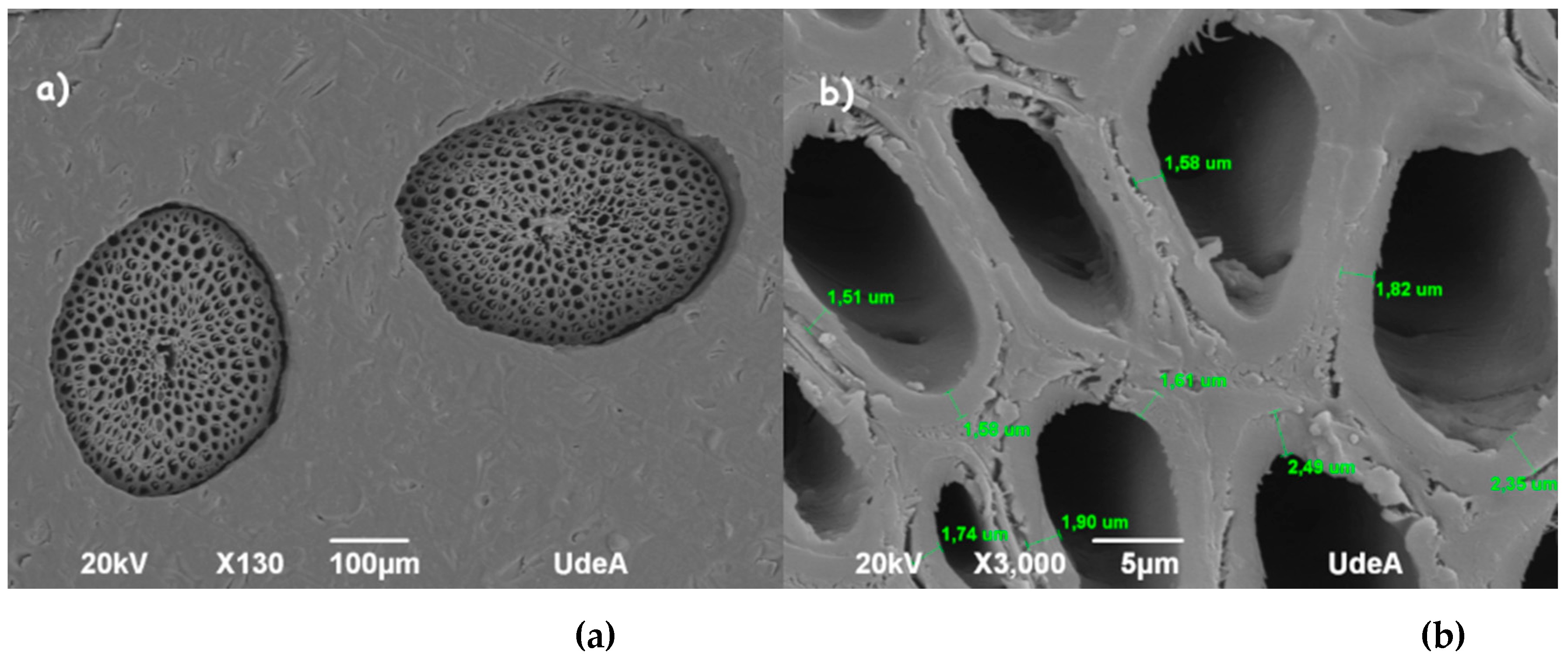 Polymers 13 00101 g004