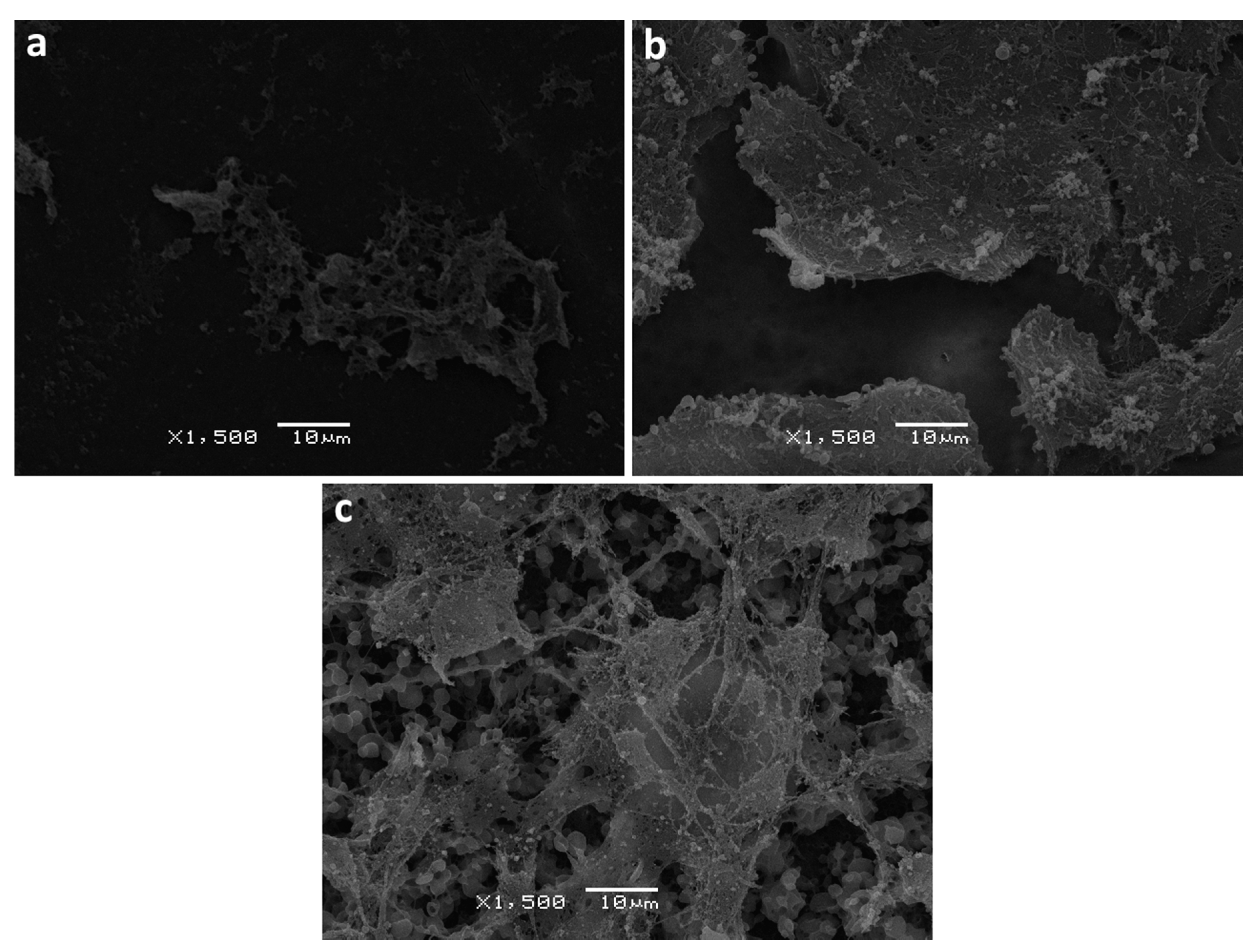 Polymers 13 00108 g011 Polymers 13 00108 g011