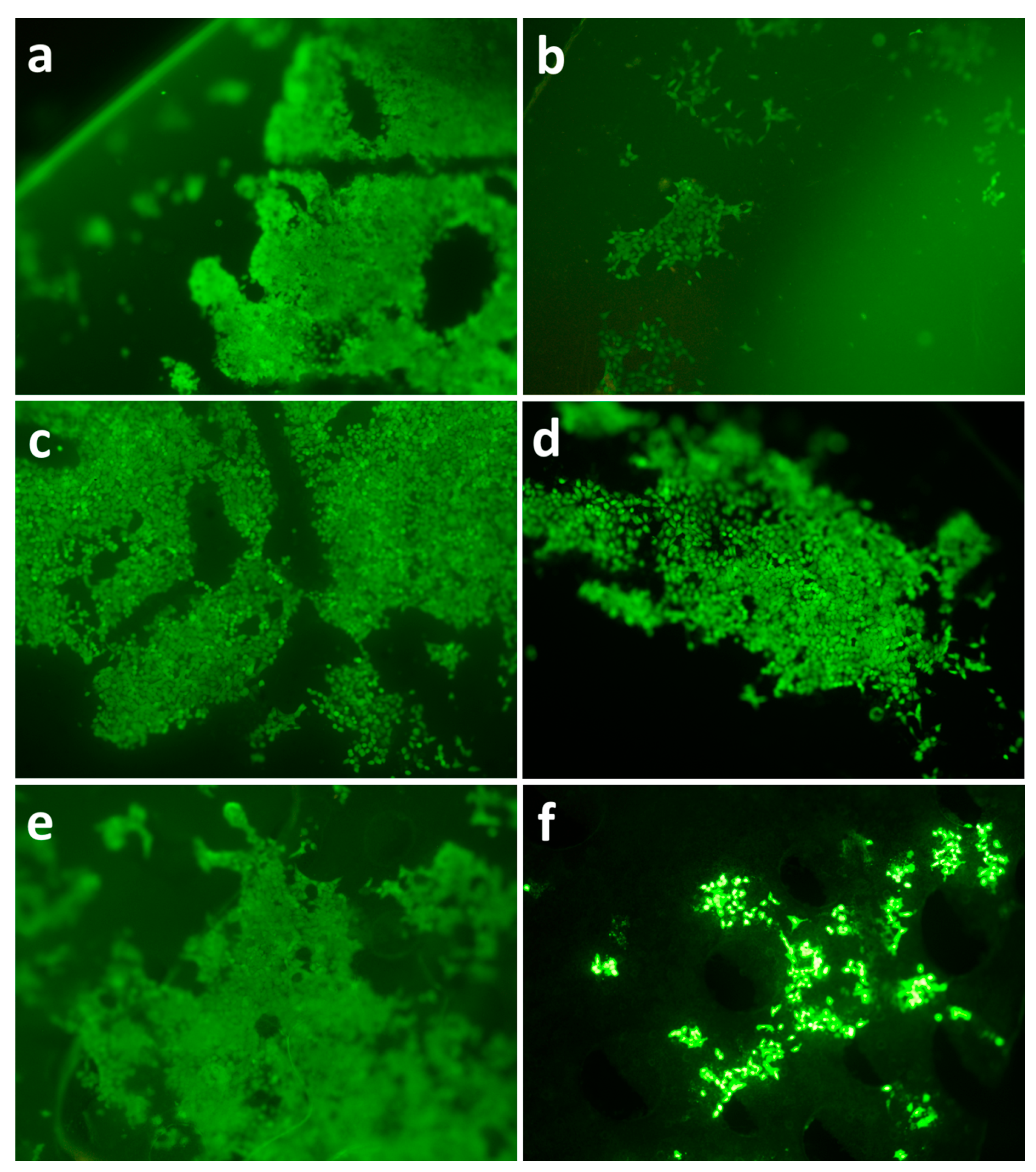 Polymers 13 00108 g012 Polymers 13 00108 g012