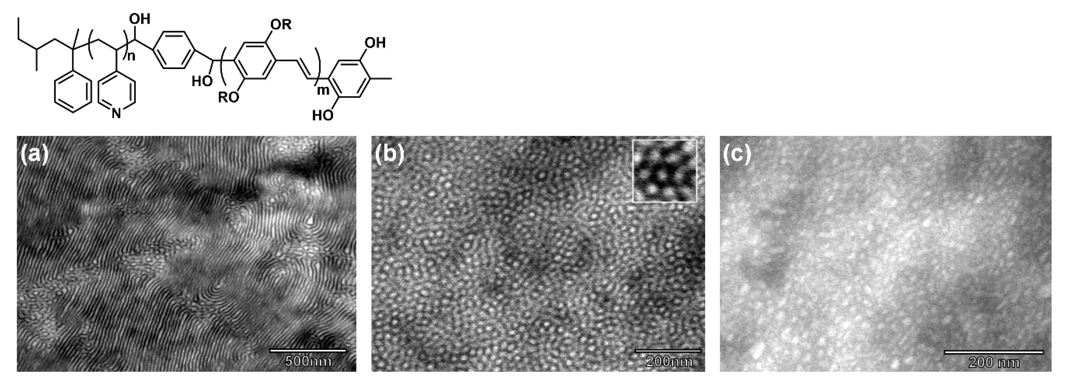 Polymers 13 00110 g011