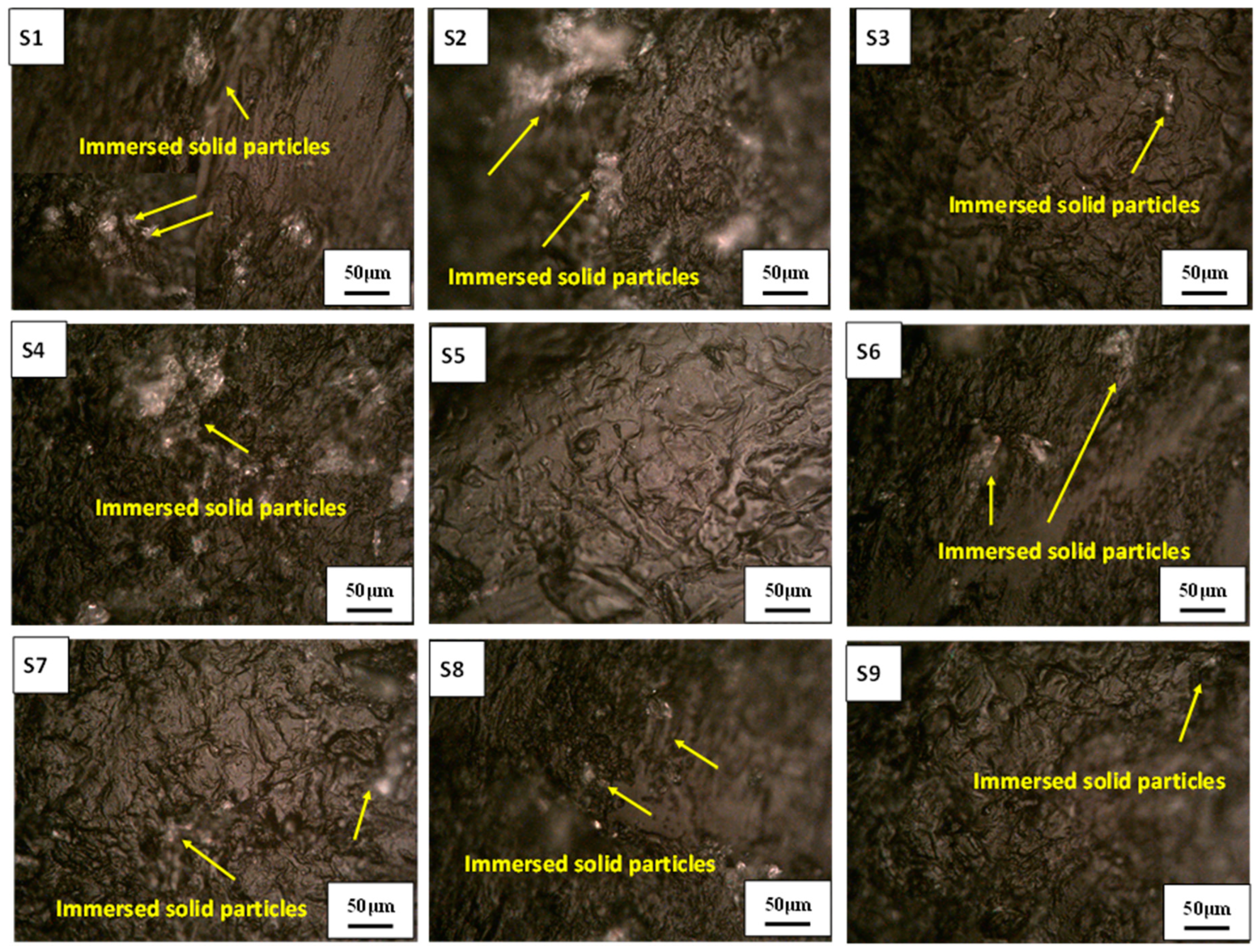 Polymers 13 00118 g009