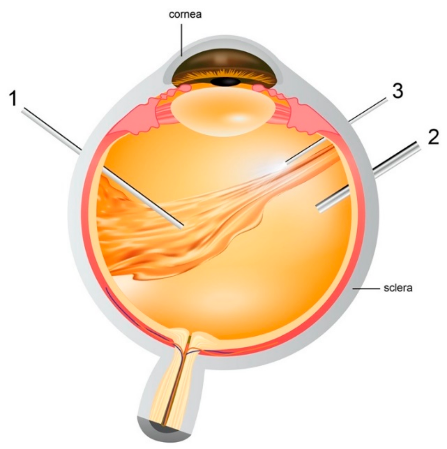 Polymers 13 00121 g003