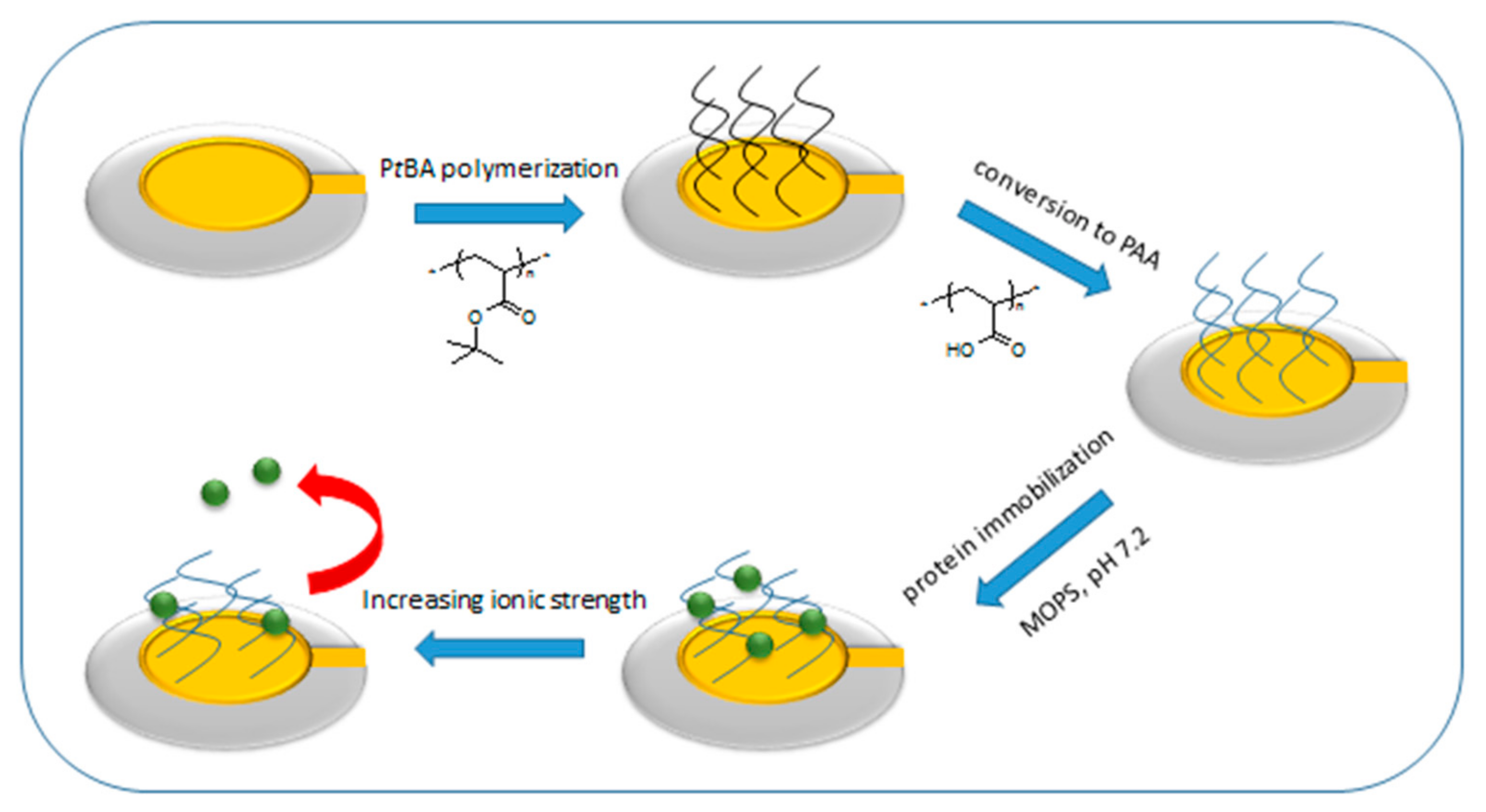 Polymers 13 00122 g001