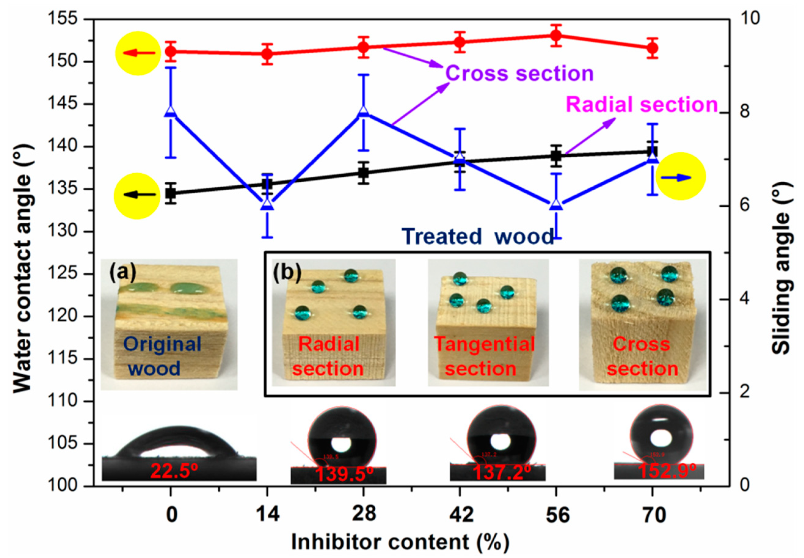 Polymers 13 00124 g001