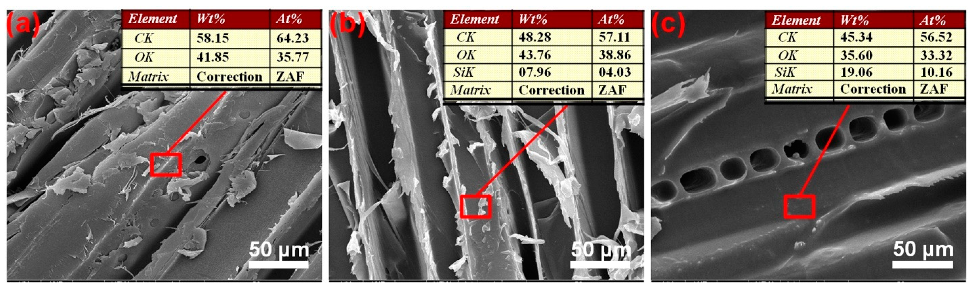 Polymers 13 00124 g005