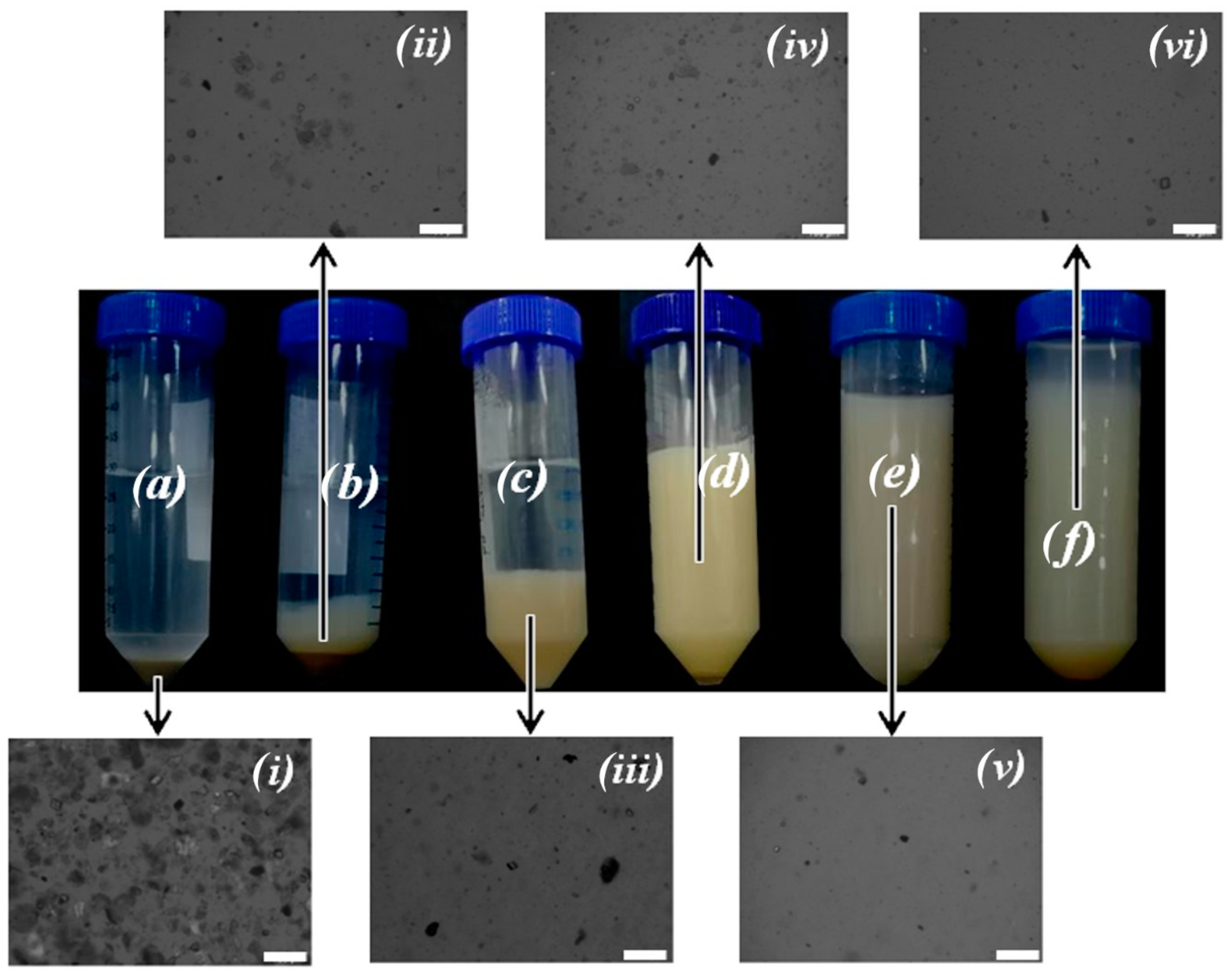 Polymers 13 00129 g004 Polymers 13 00129 g004