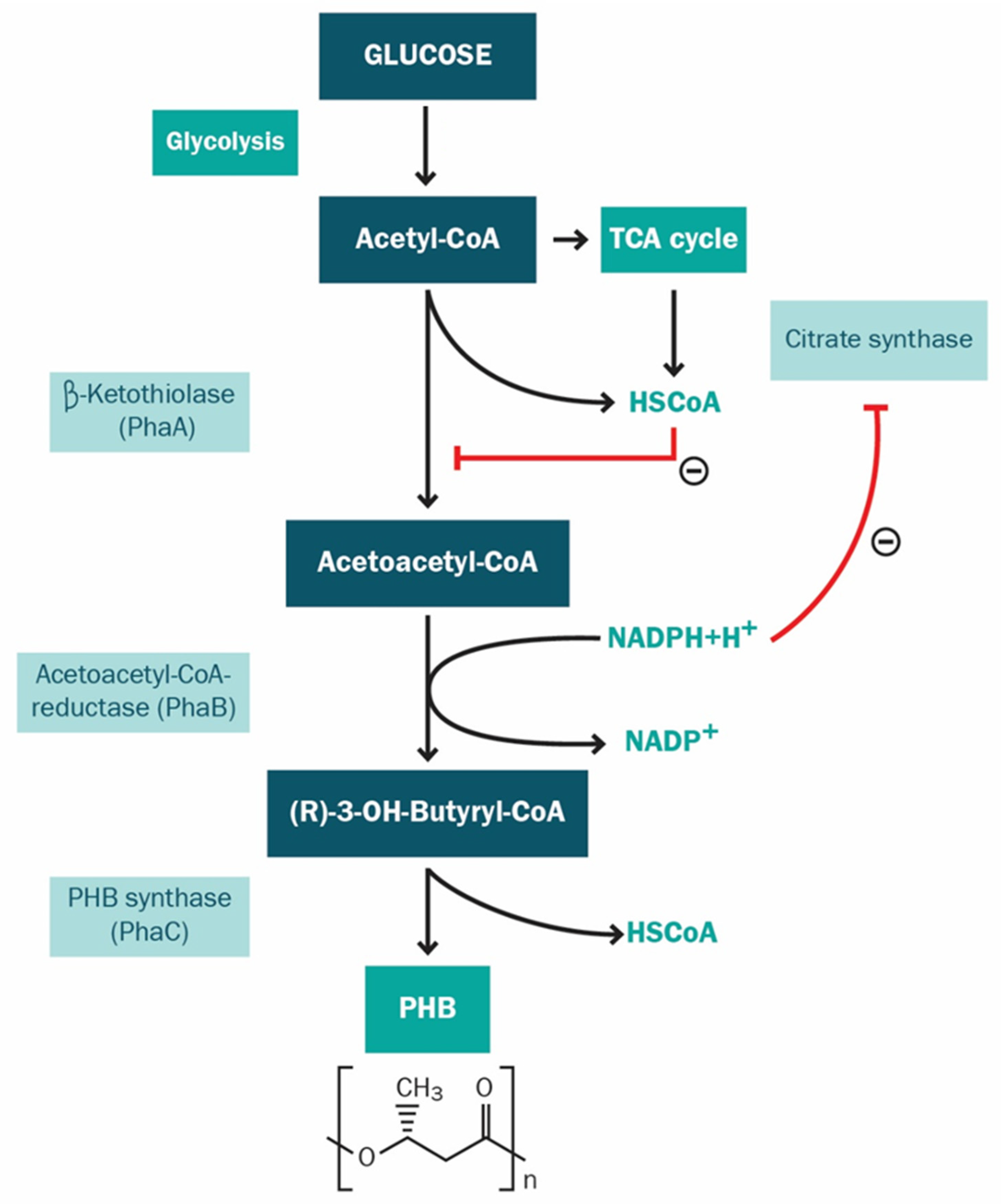 Polymers 13 00131 g001 Polymers 13 00131 g001