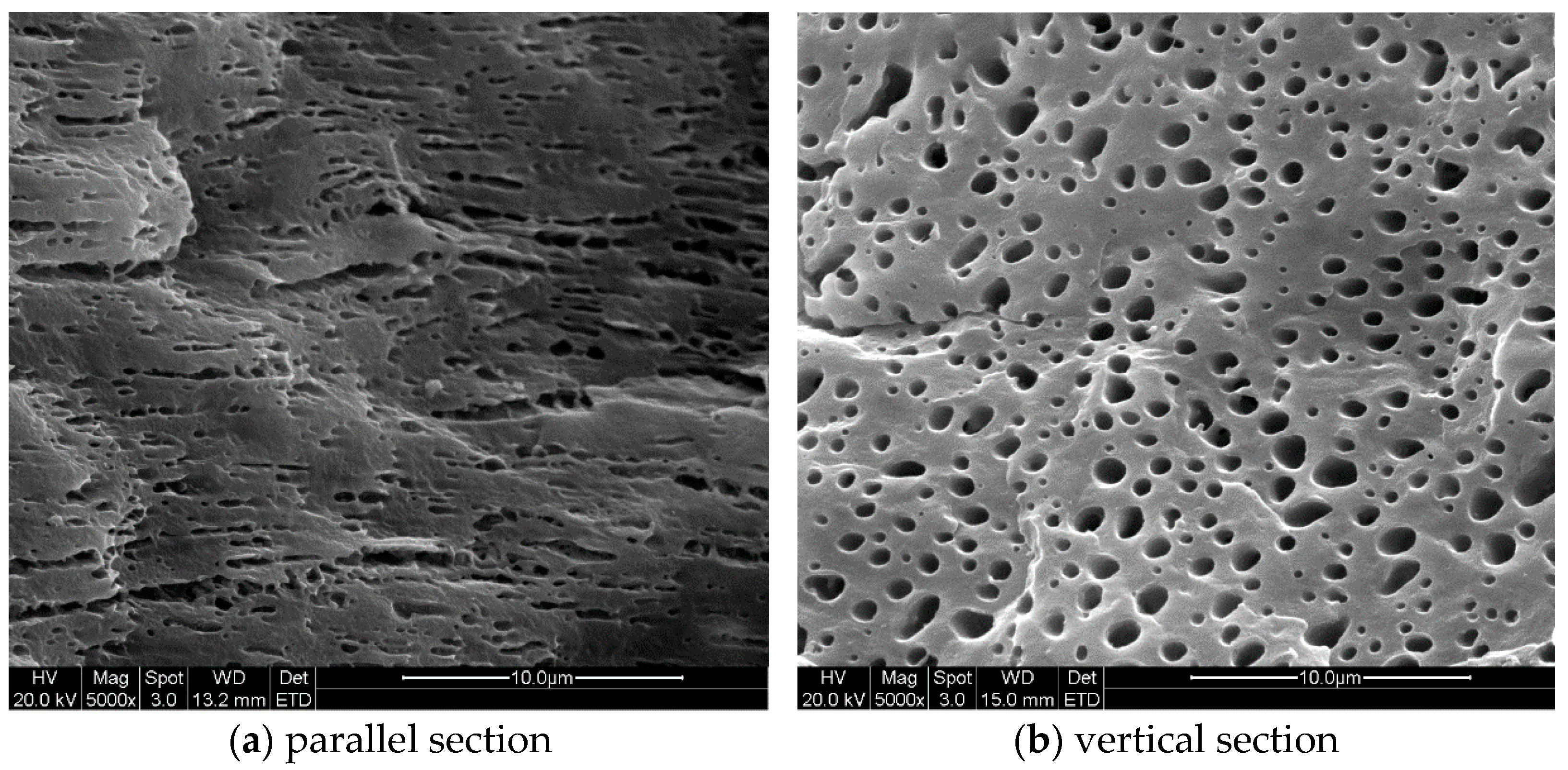 Polymers 13 00133 g011 Polymers 13 00133 g011
