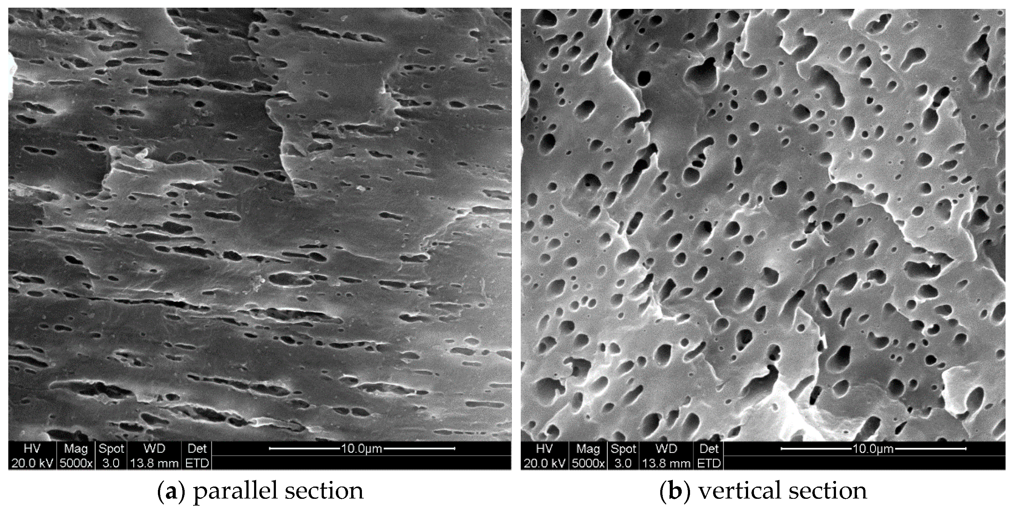 Polymers 13 00133 g012 Polymers 13 00133 g012