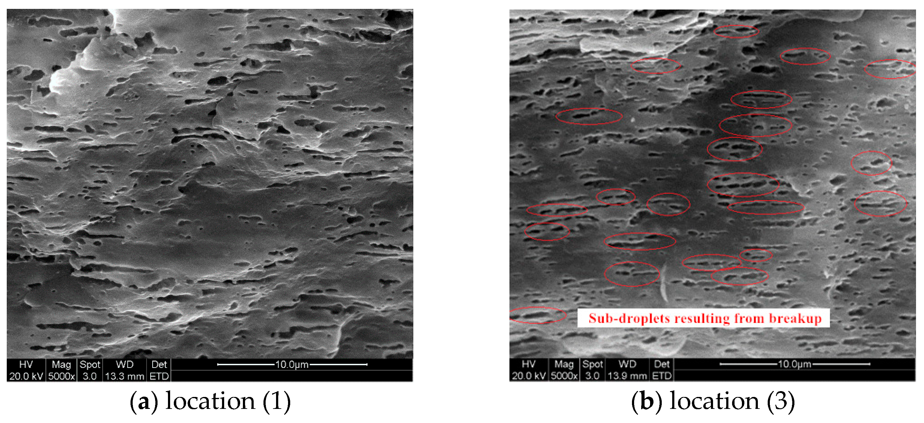 Polymers 13 00133 g016 Polymers 13 00133 g016